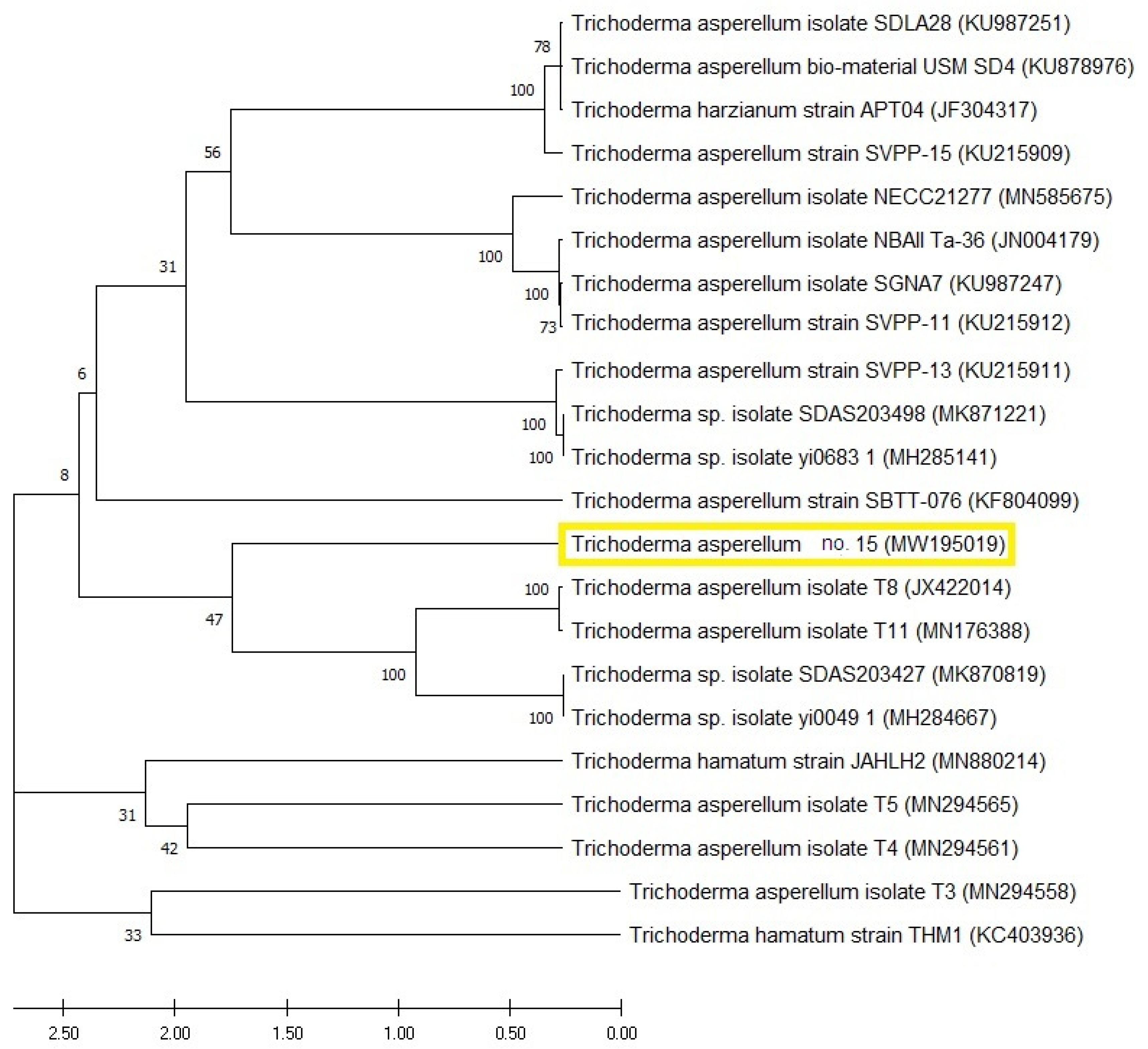 Plants 10 00222 g005