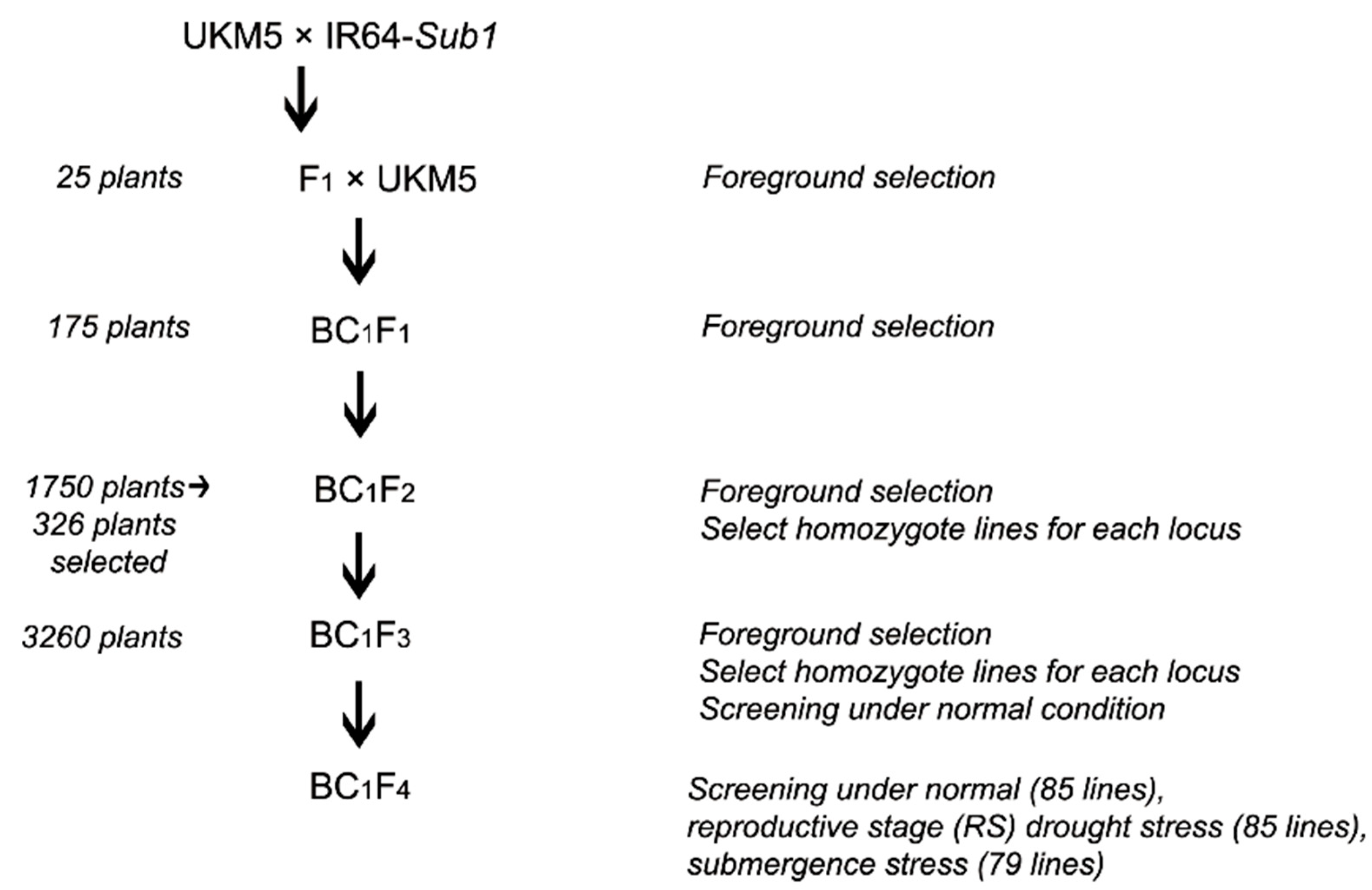 Plants 10 00225 g004