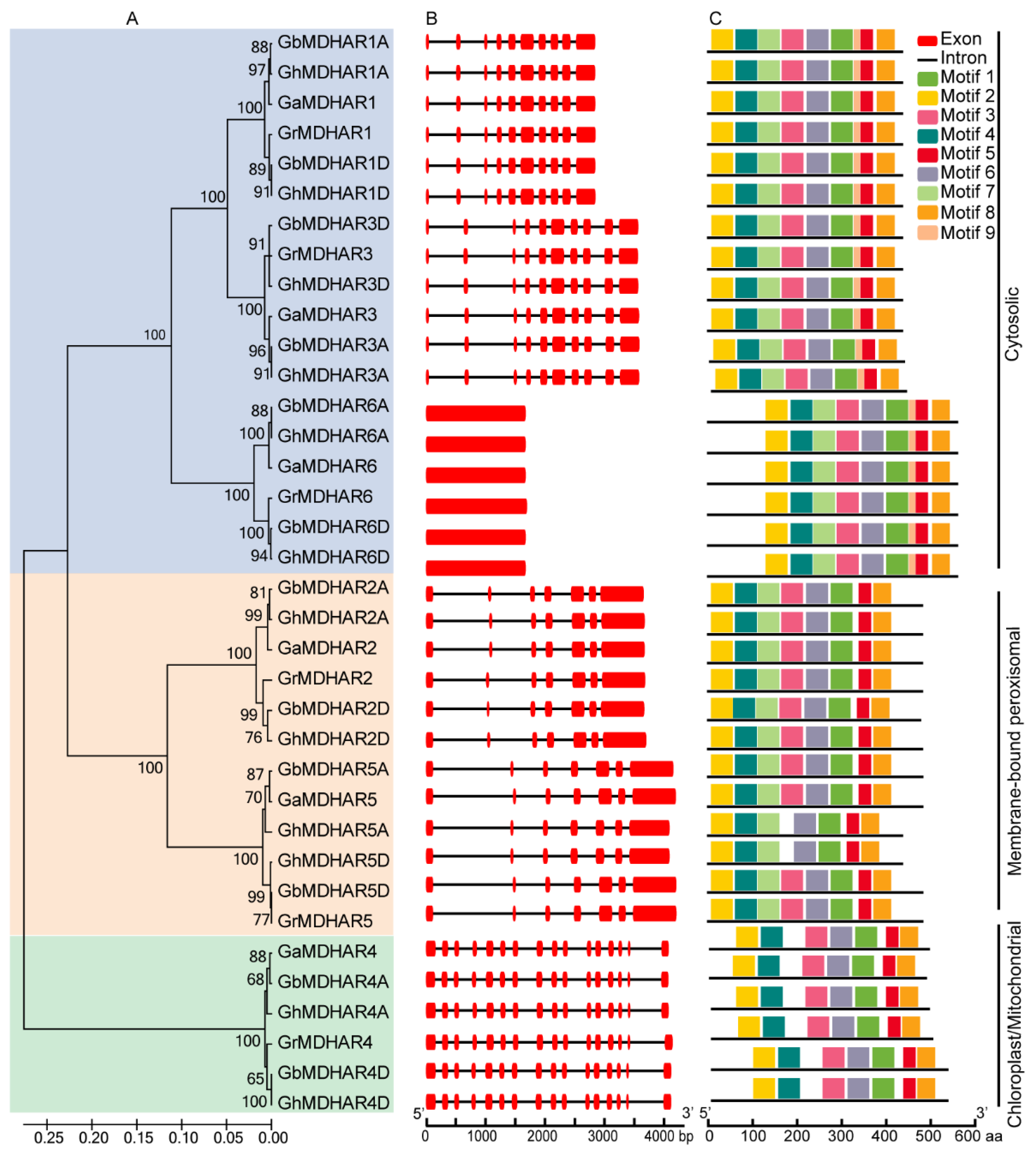Plants 10 00227 g003