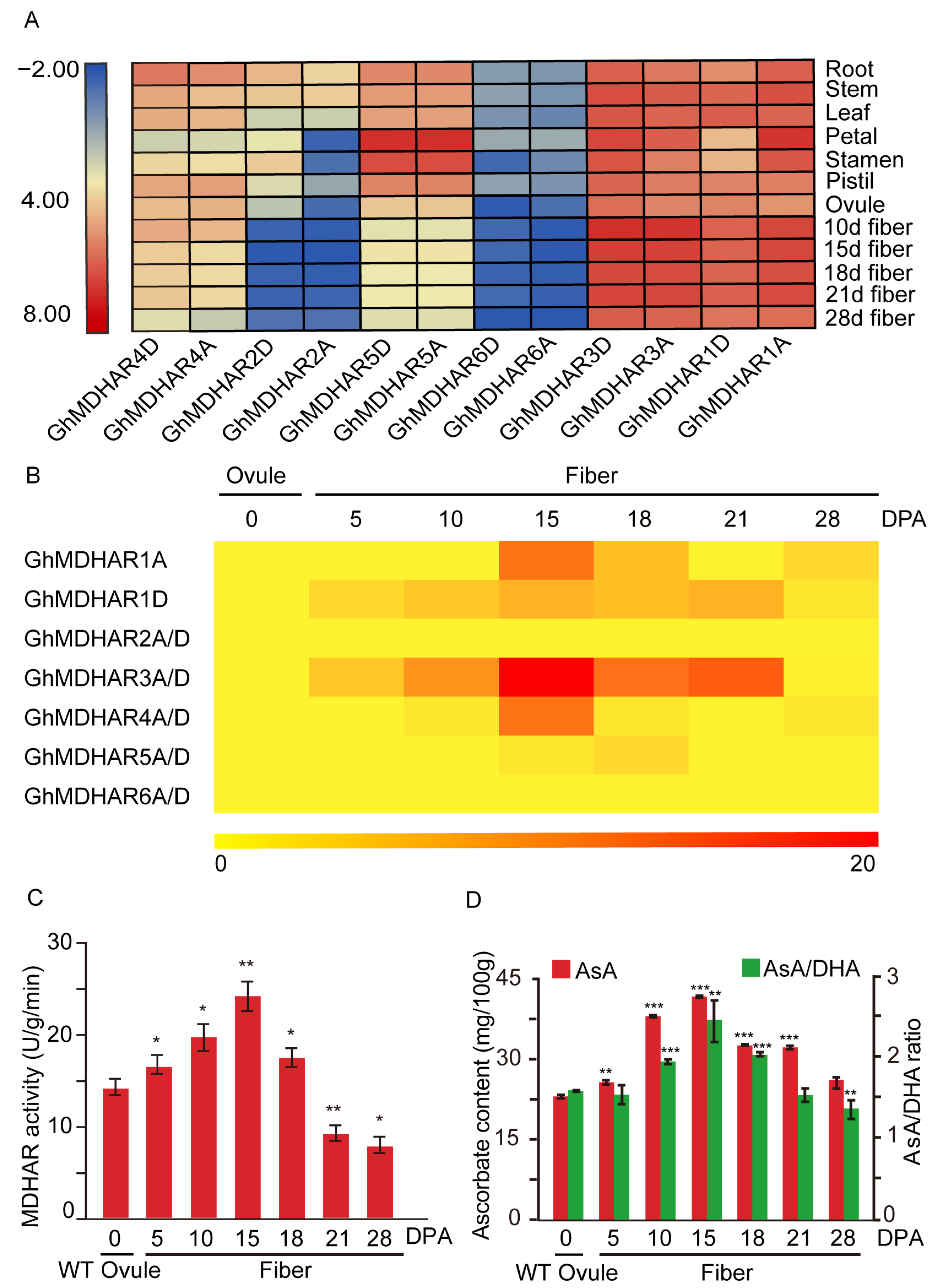 Plants 10 00227 g004