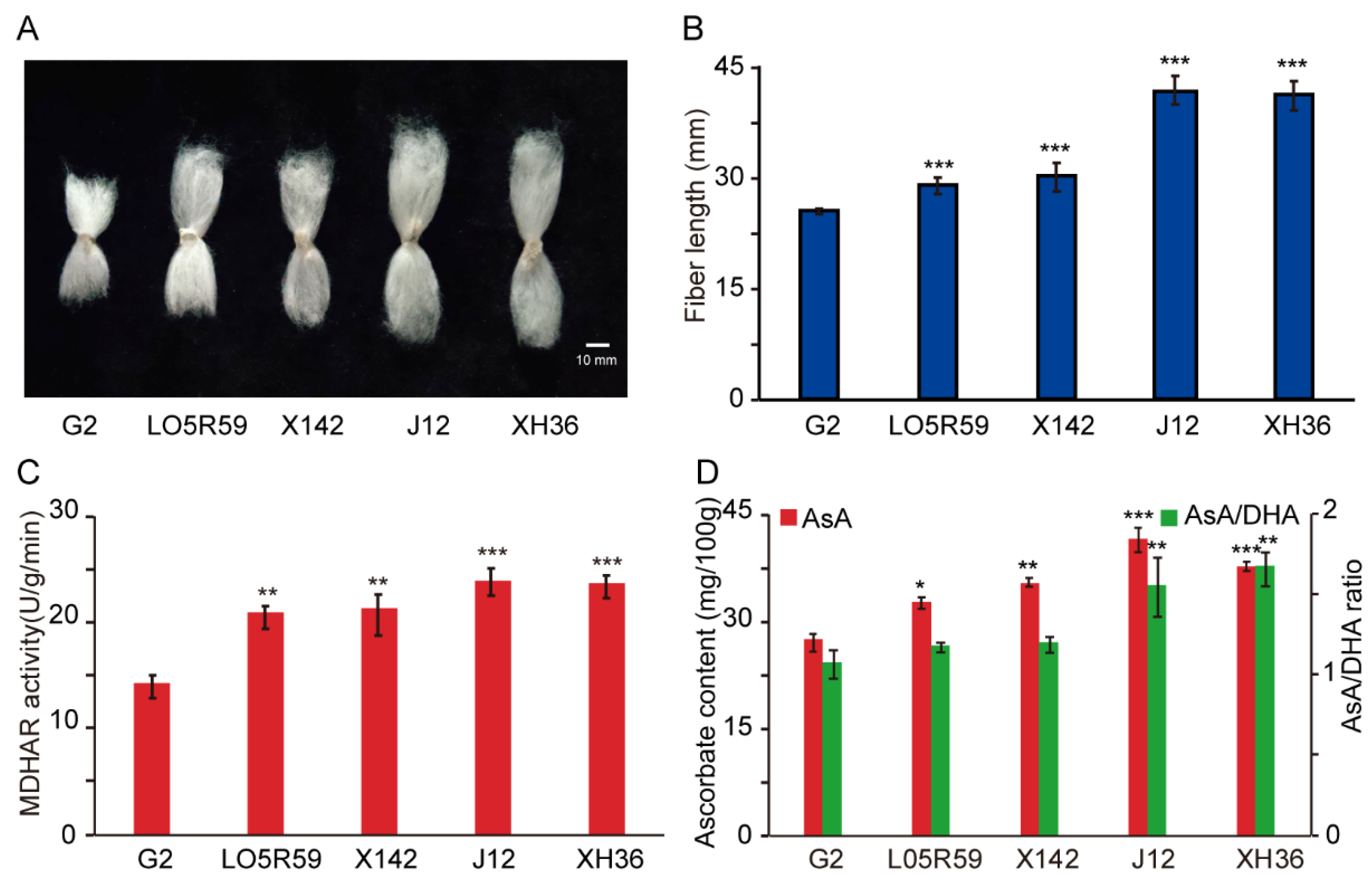 Plants 10 00227 g006