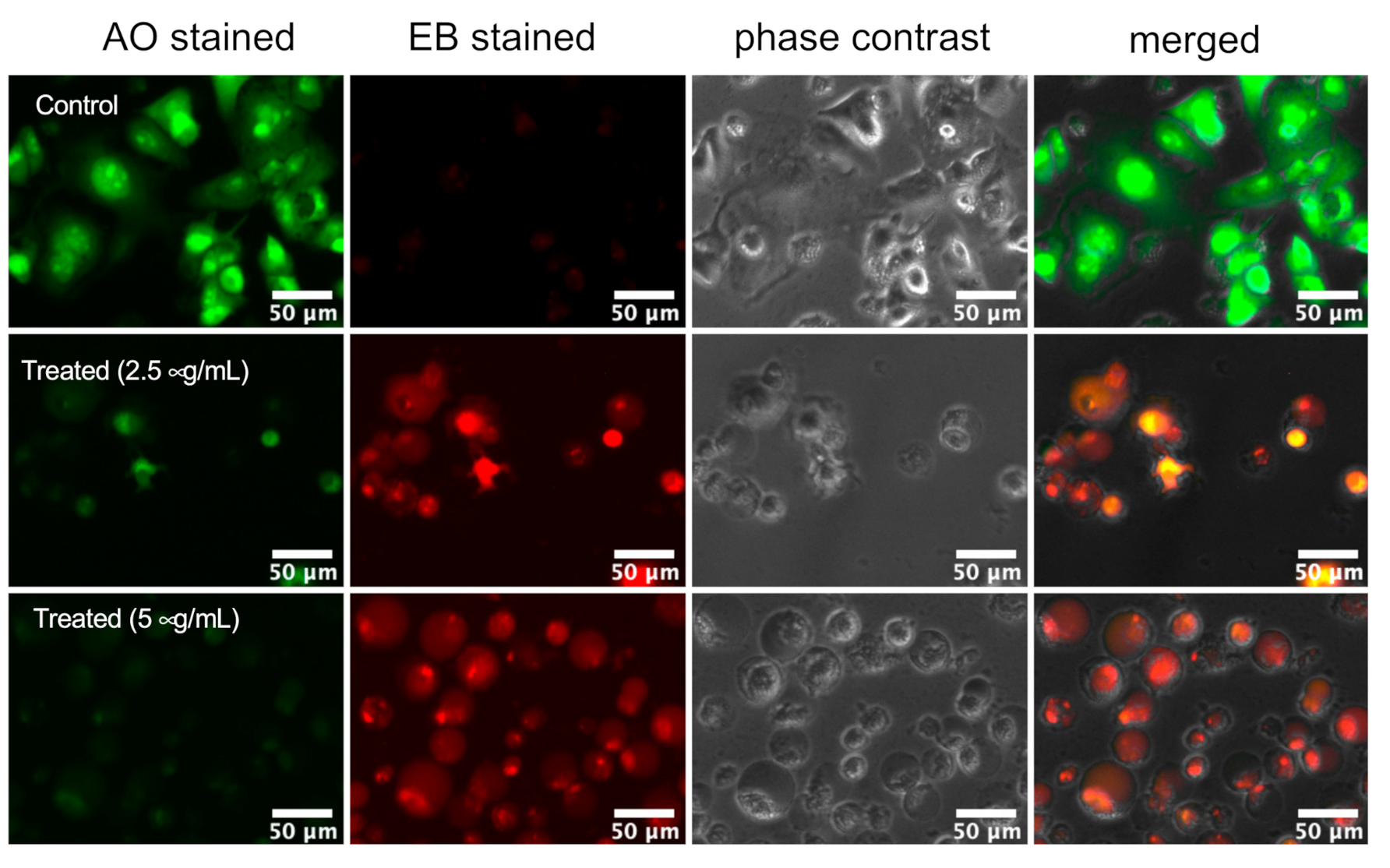 Plants 10 00229 g001