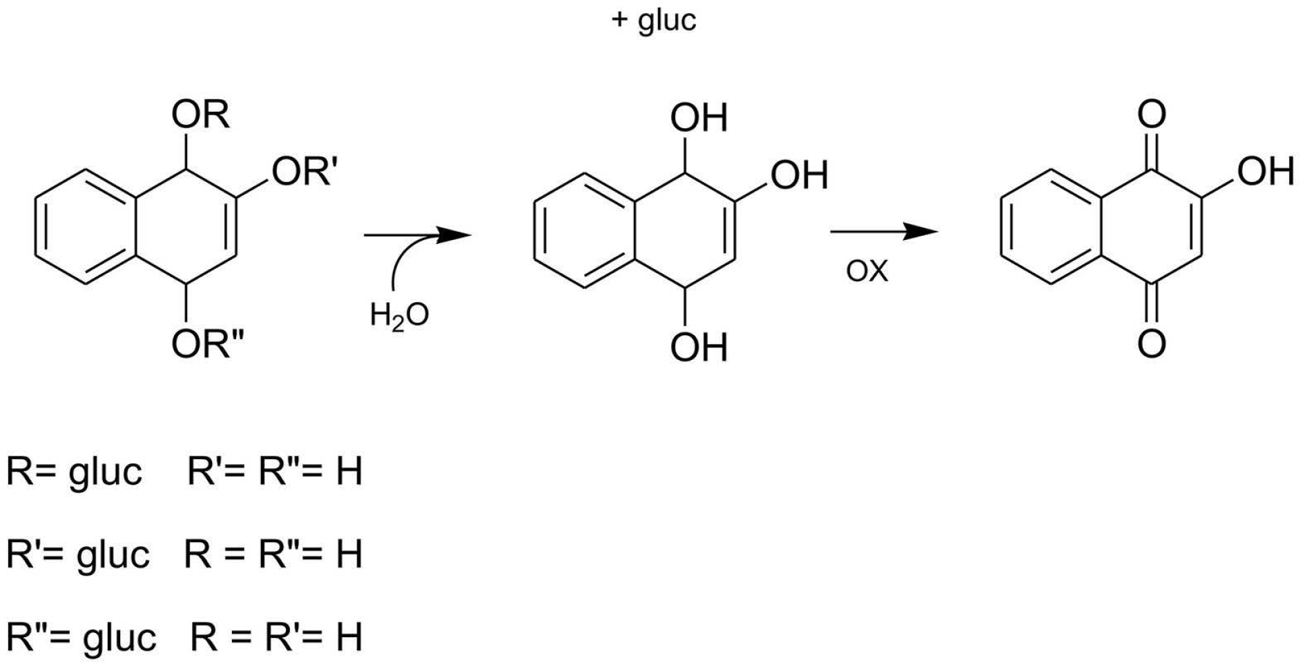 Plants 10 00237 g001