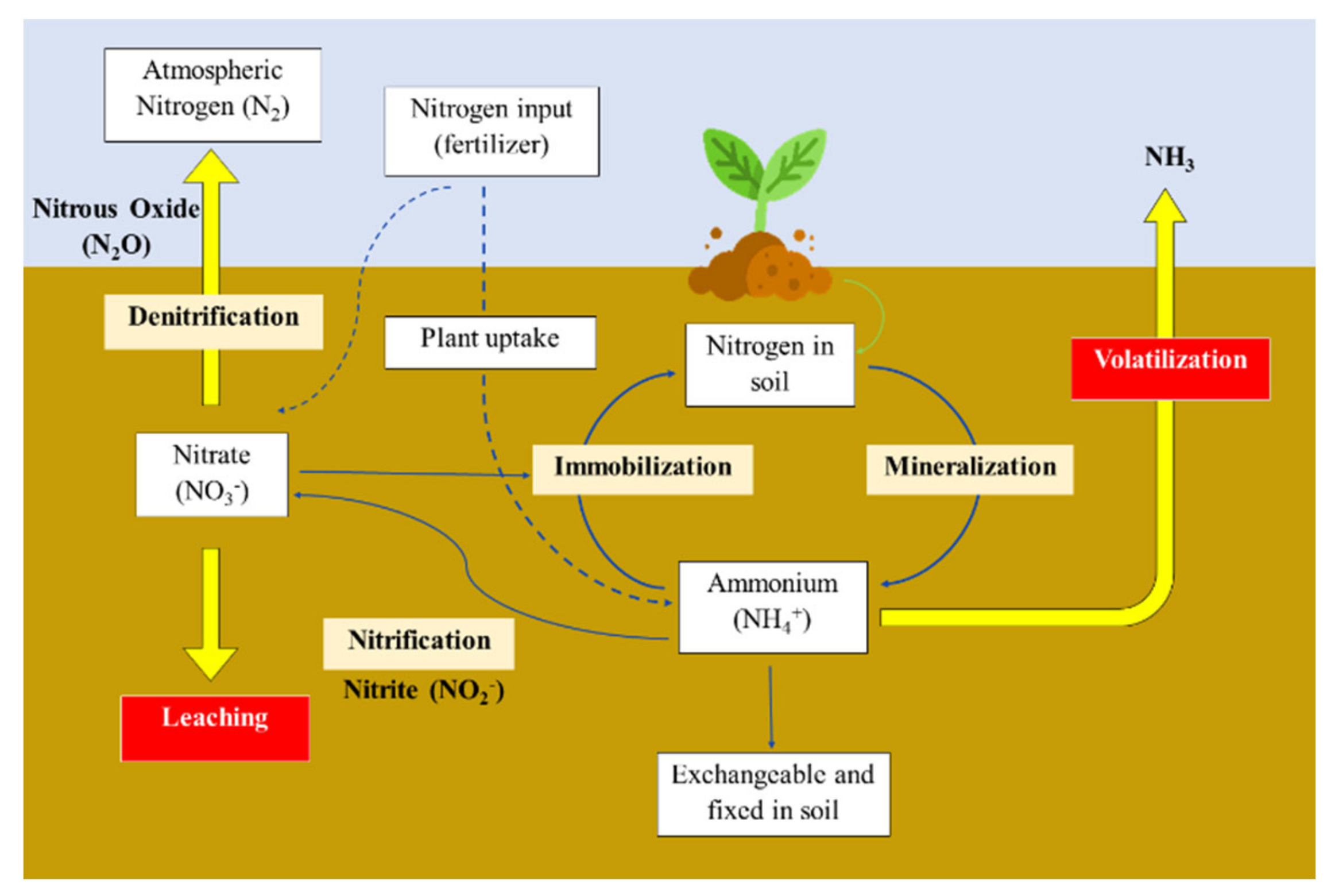 Plants 10 00238 g001 Plants 10 00238 g001
