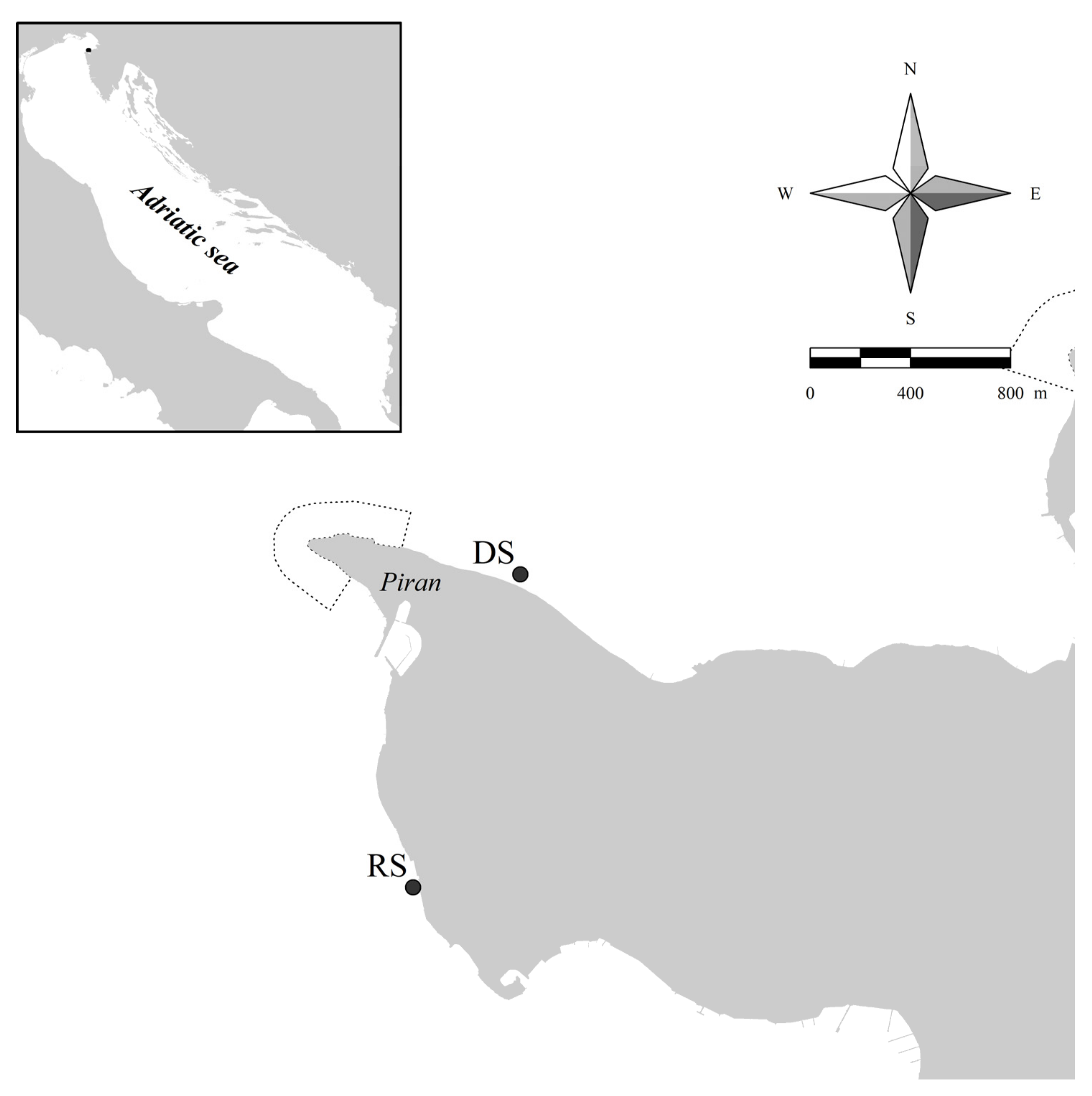 Plants 10 00239 g001