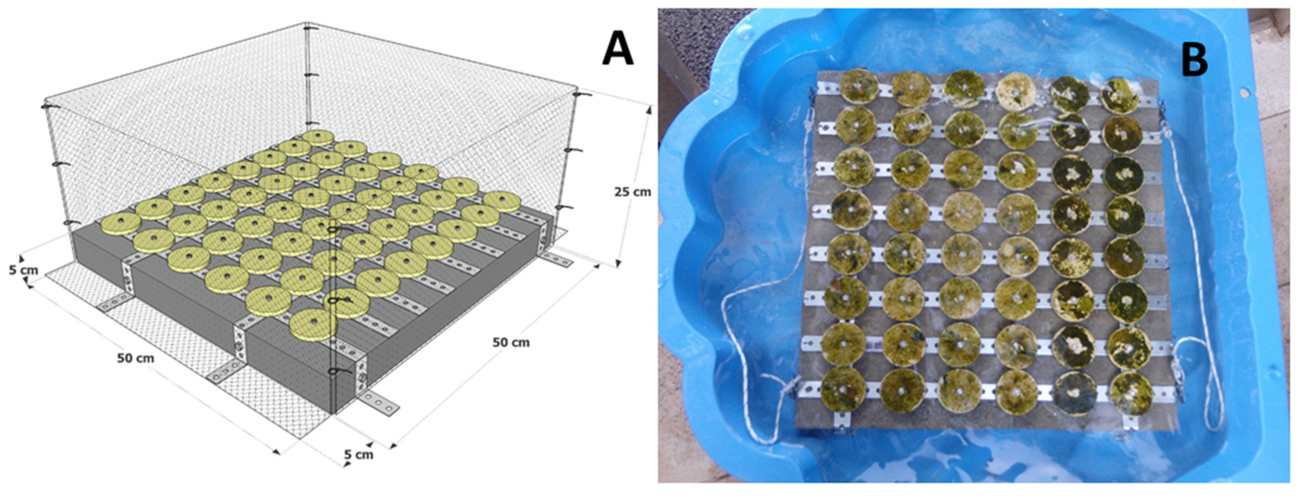 Plants 10 00239 g004