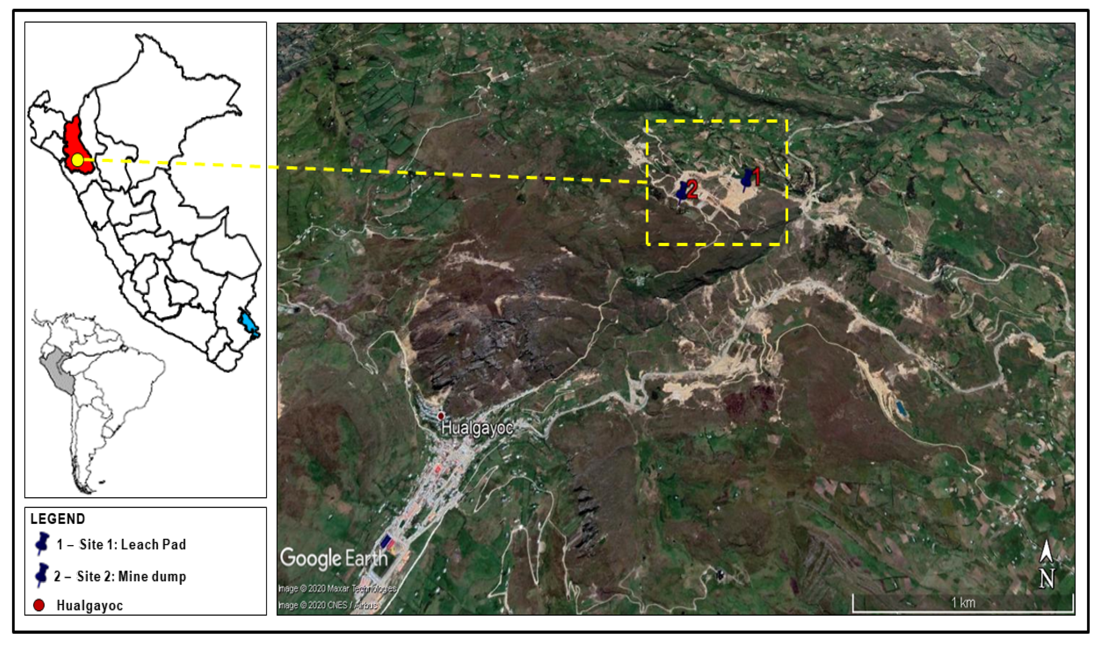 Plants 10 00241 g001