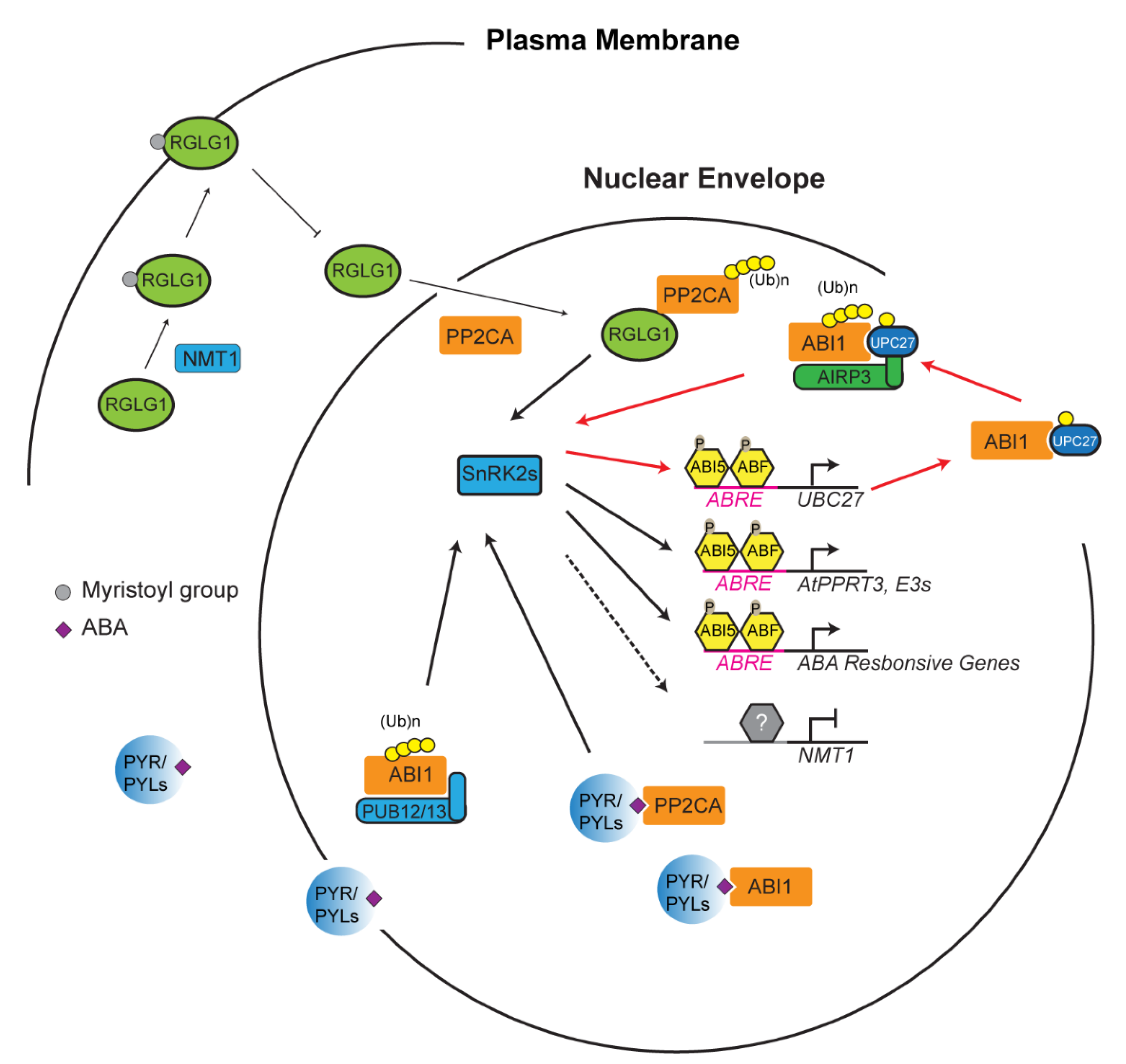 Plants 10 00246 g002