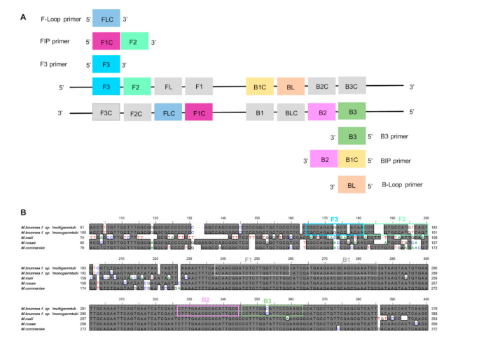 Plants 10 00253 g001