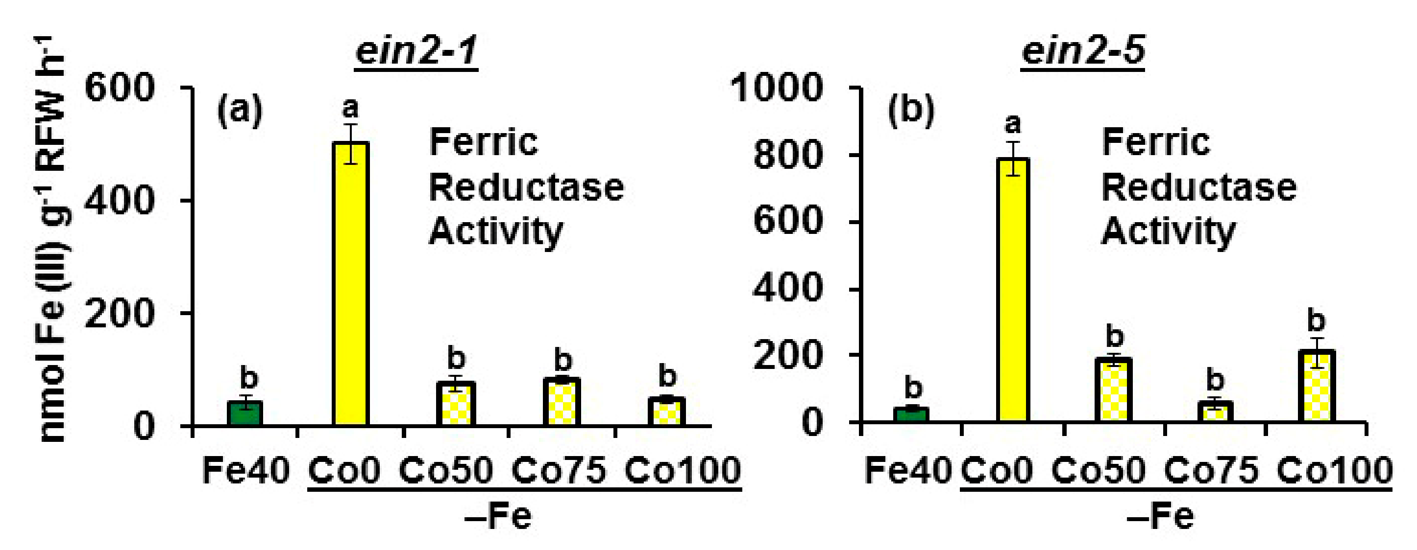 Plants 10 00262 g003