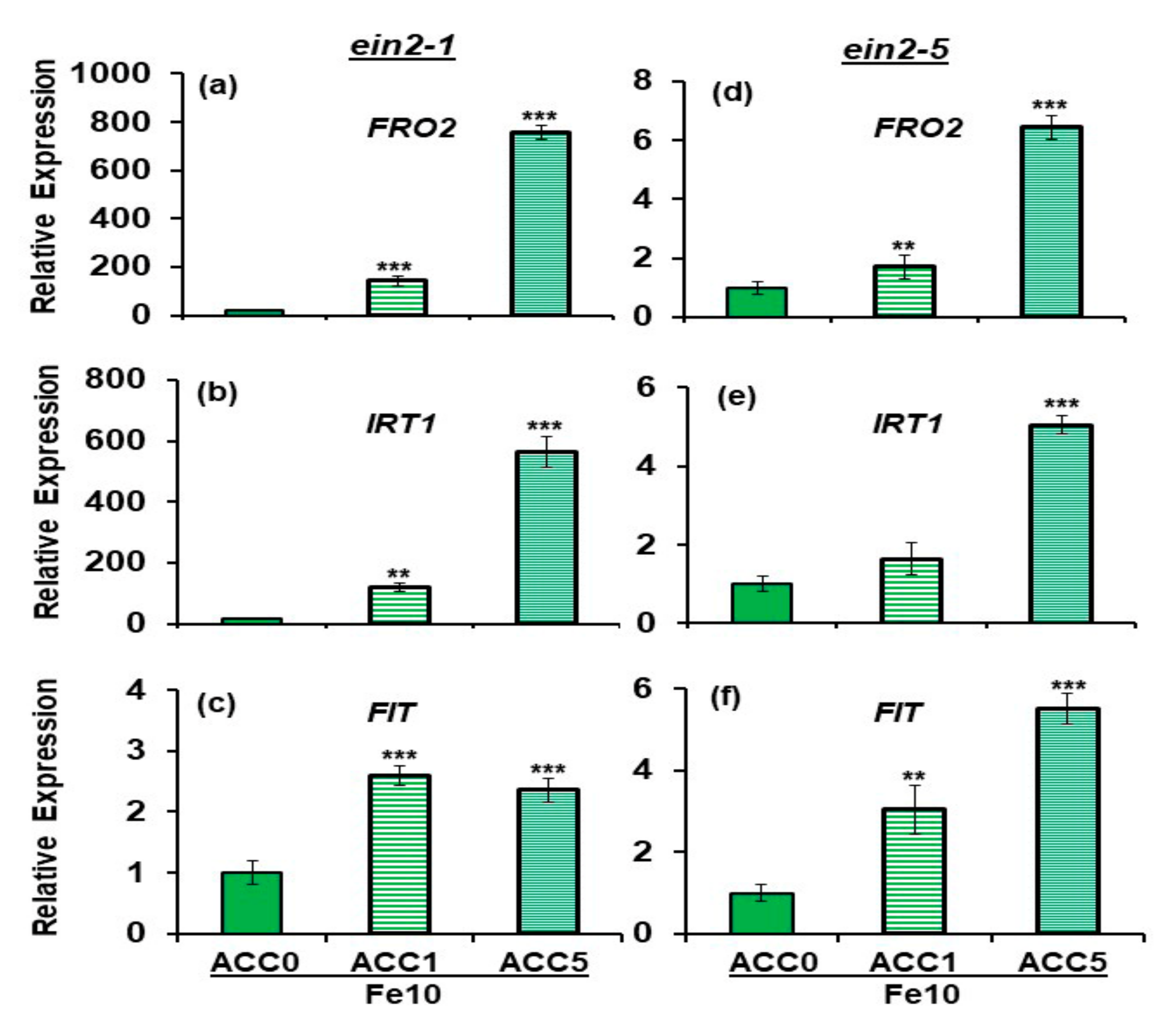 Plants 10 00262 g004