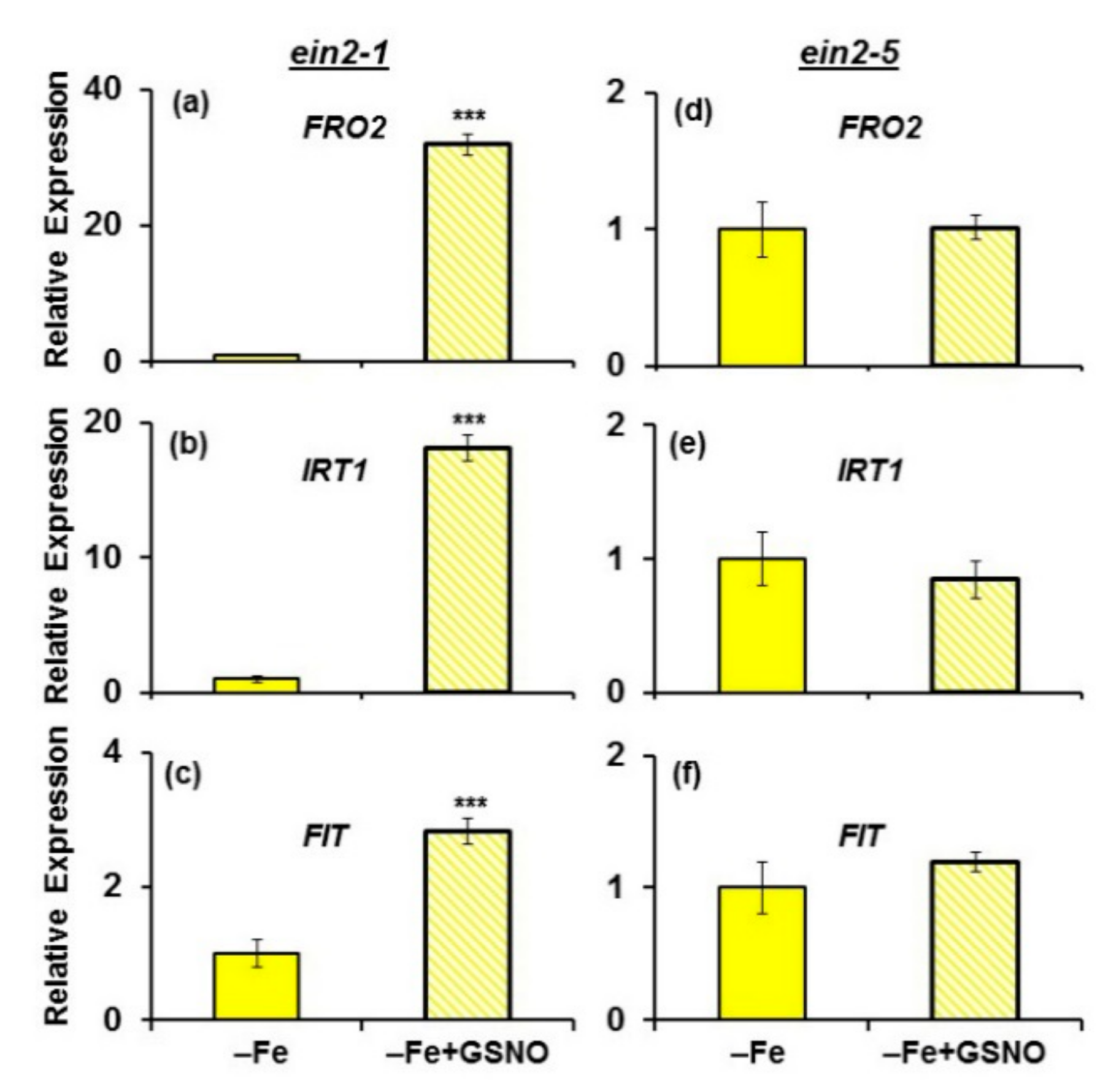 Plants 10 00262 g008