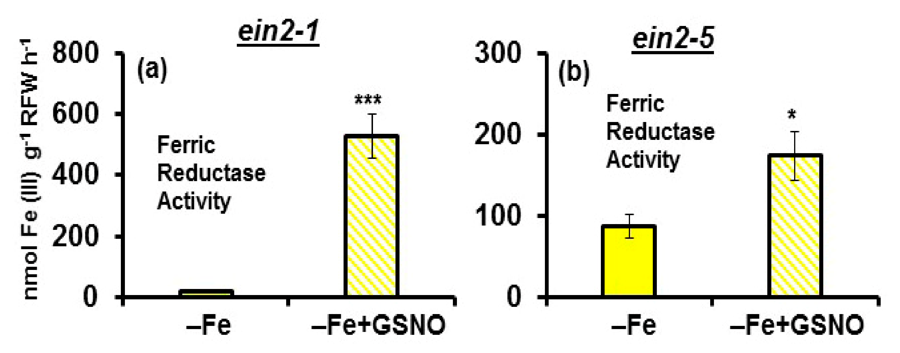 Plants 10 00262 g009