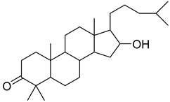 Plants 10 00279 i013 Plants 10 00279 i013