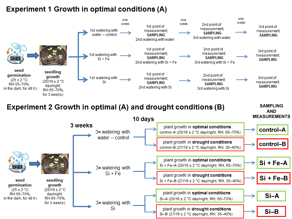 Plants 10 00280 g005 Plants 10 00280 g005