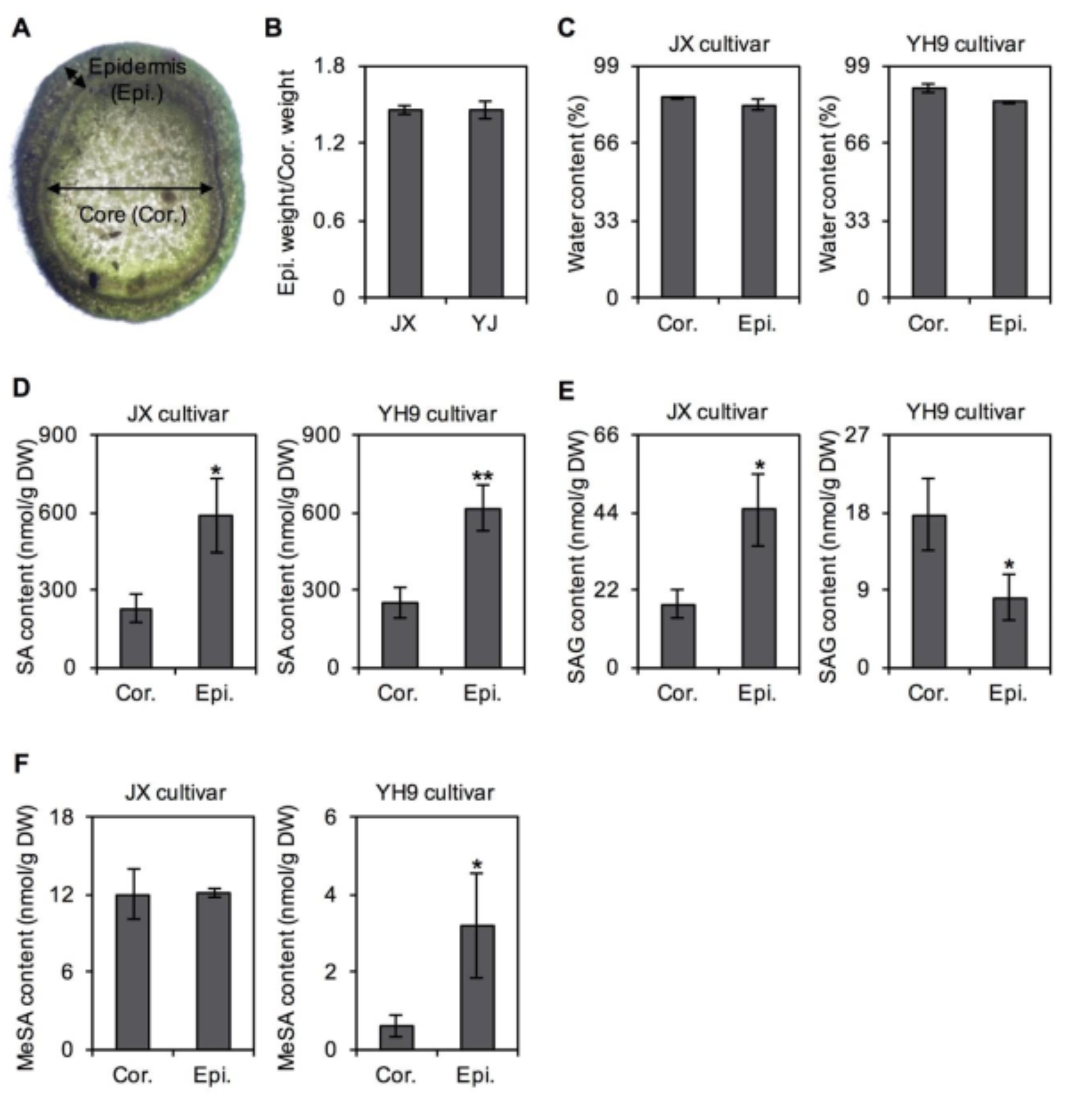 Plants 10 00282 g007
