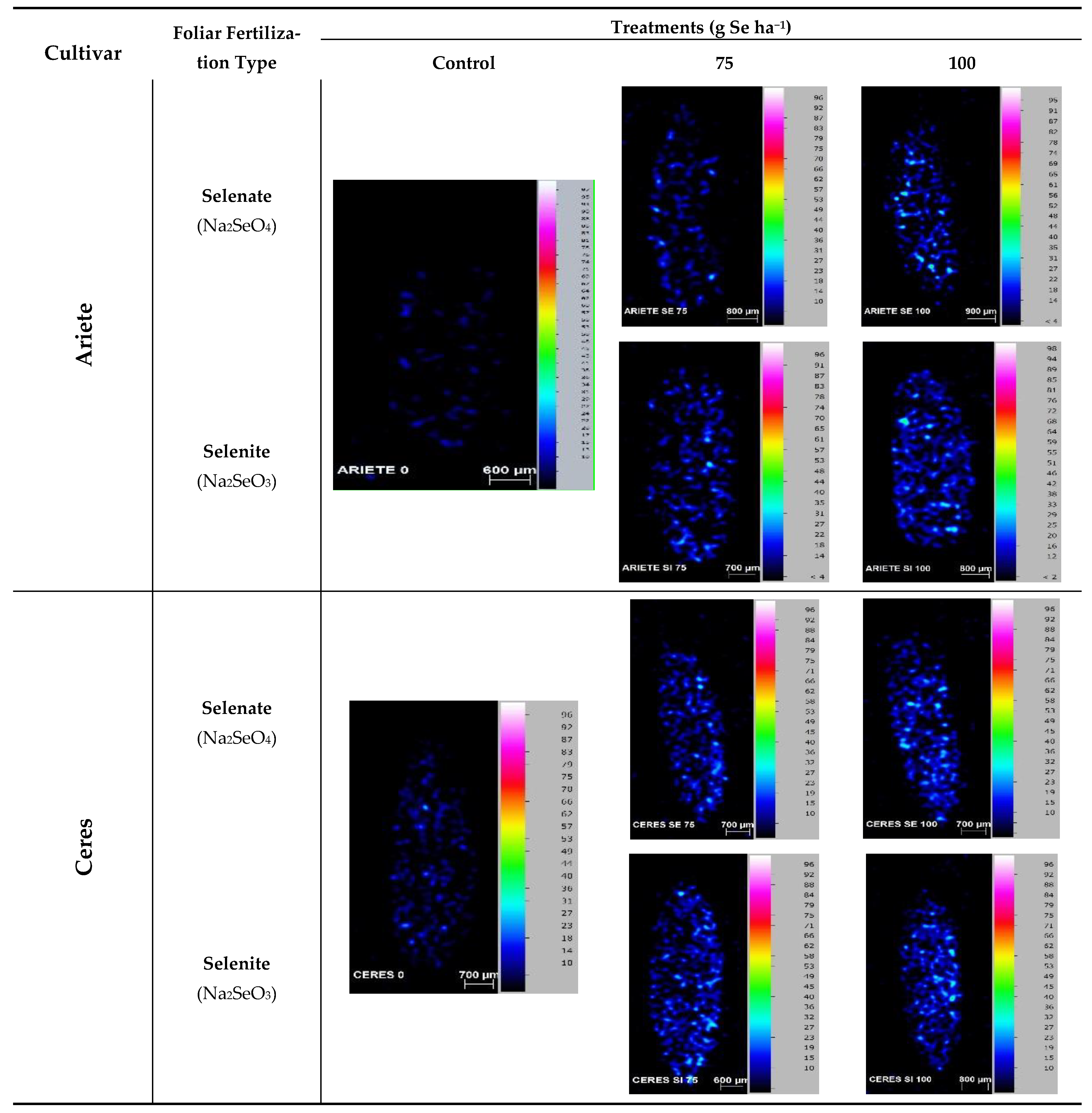 Plants 10 00288 g002