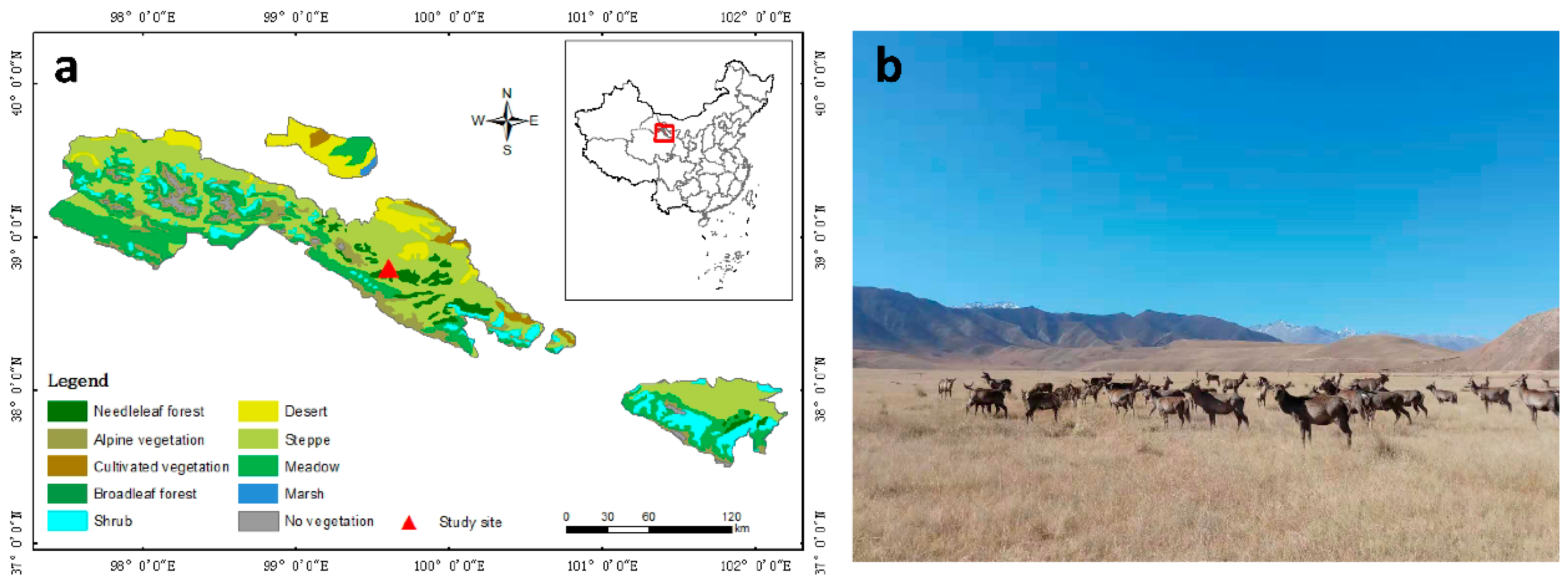 Plants 10 00294 g011