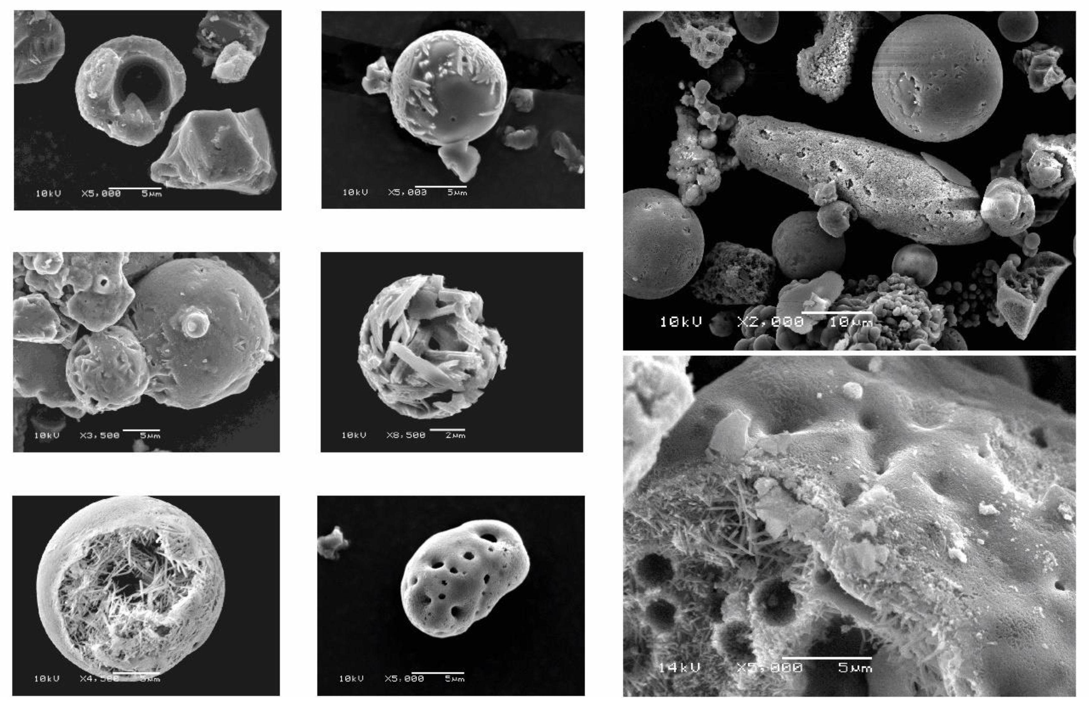 Plants 10 00295 g004 Plants 10 00295 g004