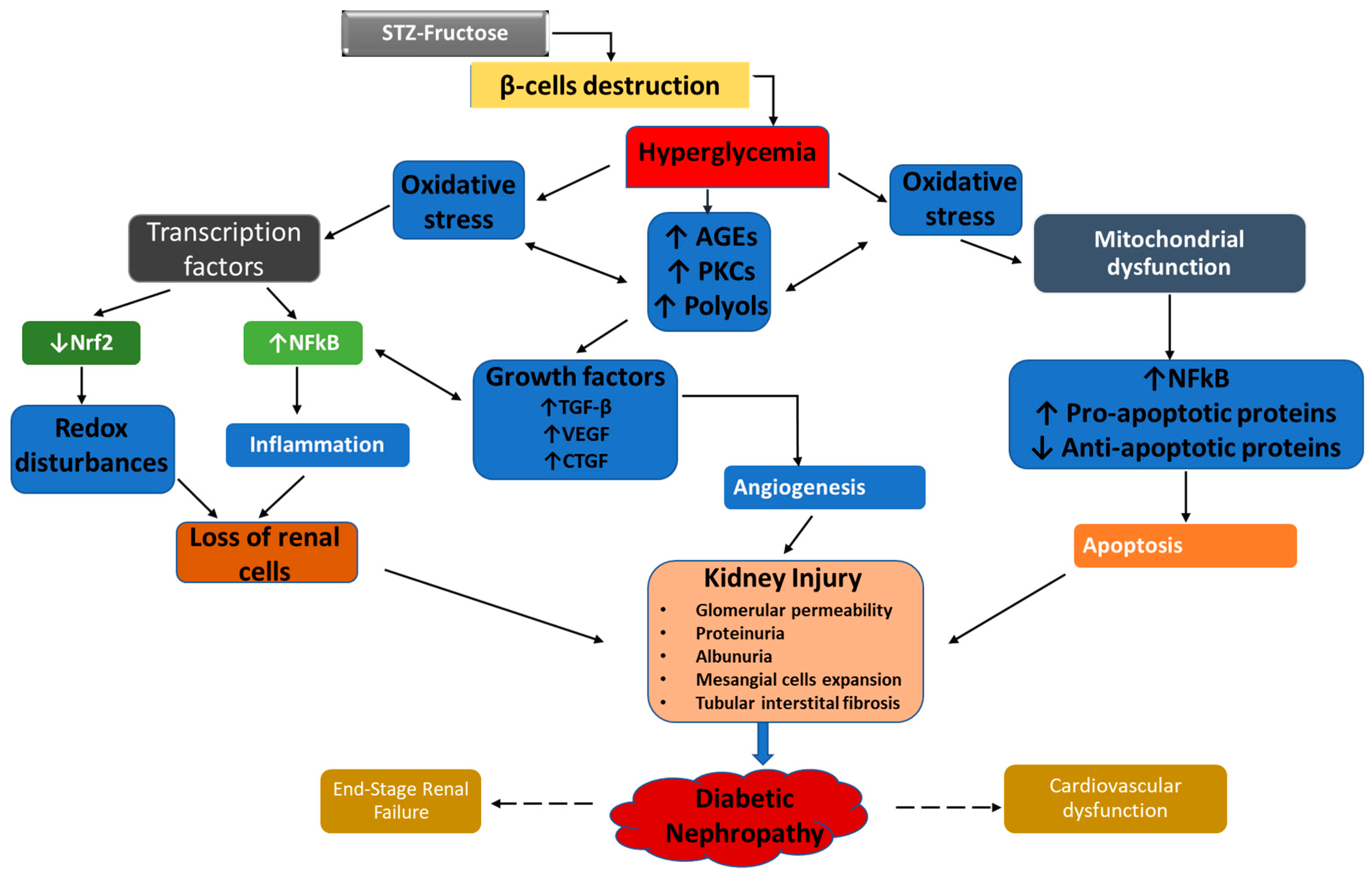 Plants 10 00300 g001