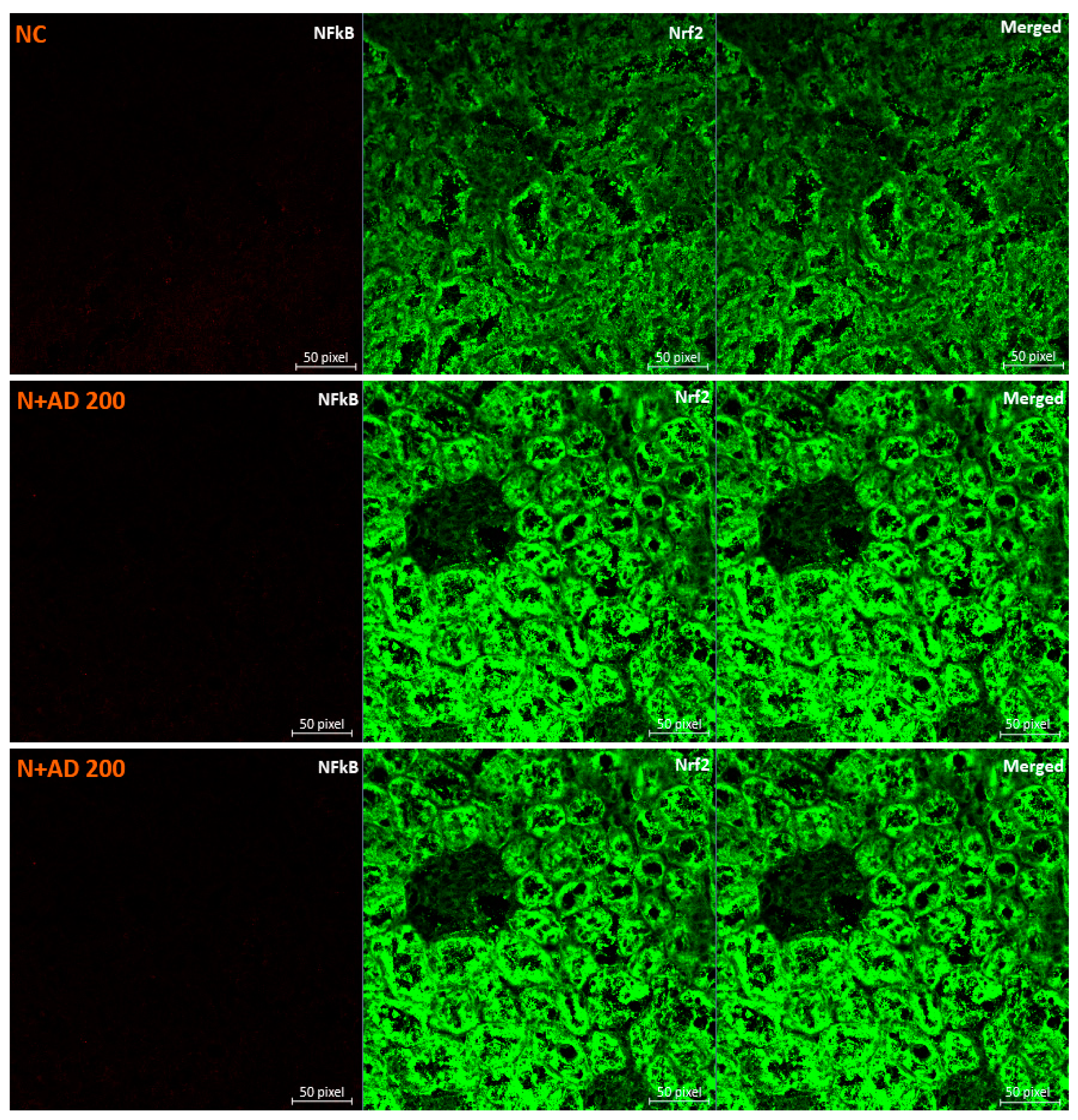 Plants 10 00300 g006a