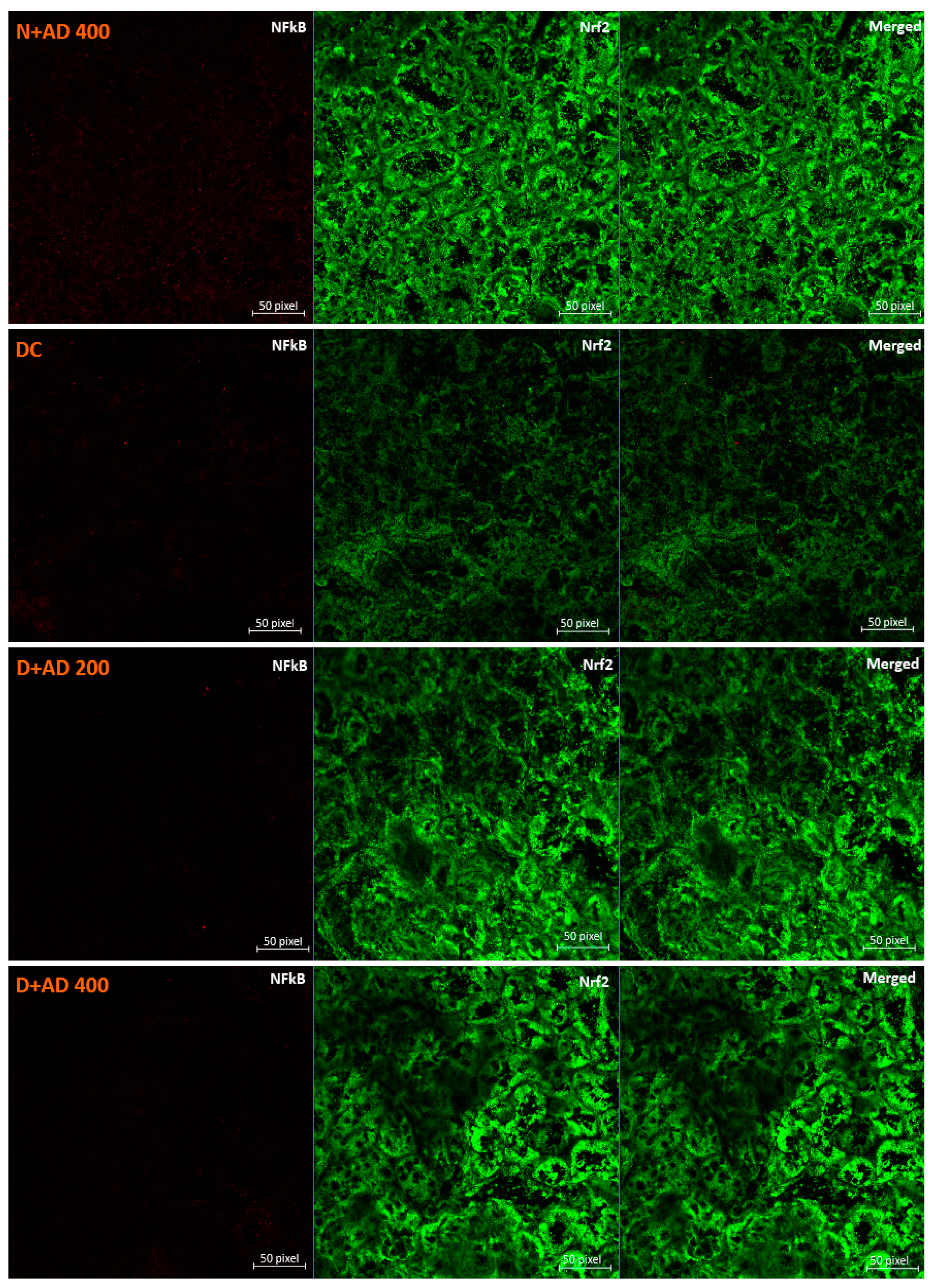Plants 10 00300 g006b