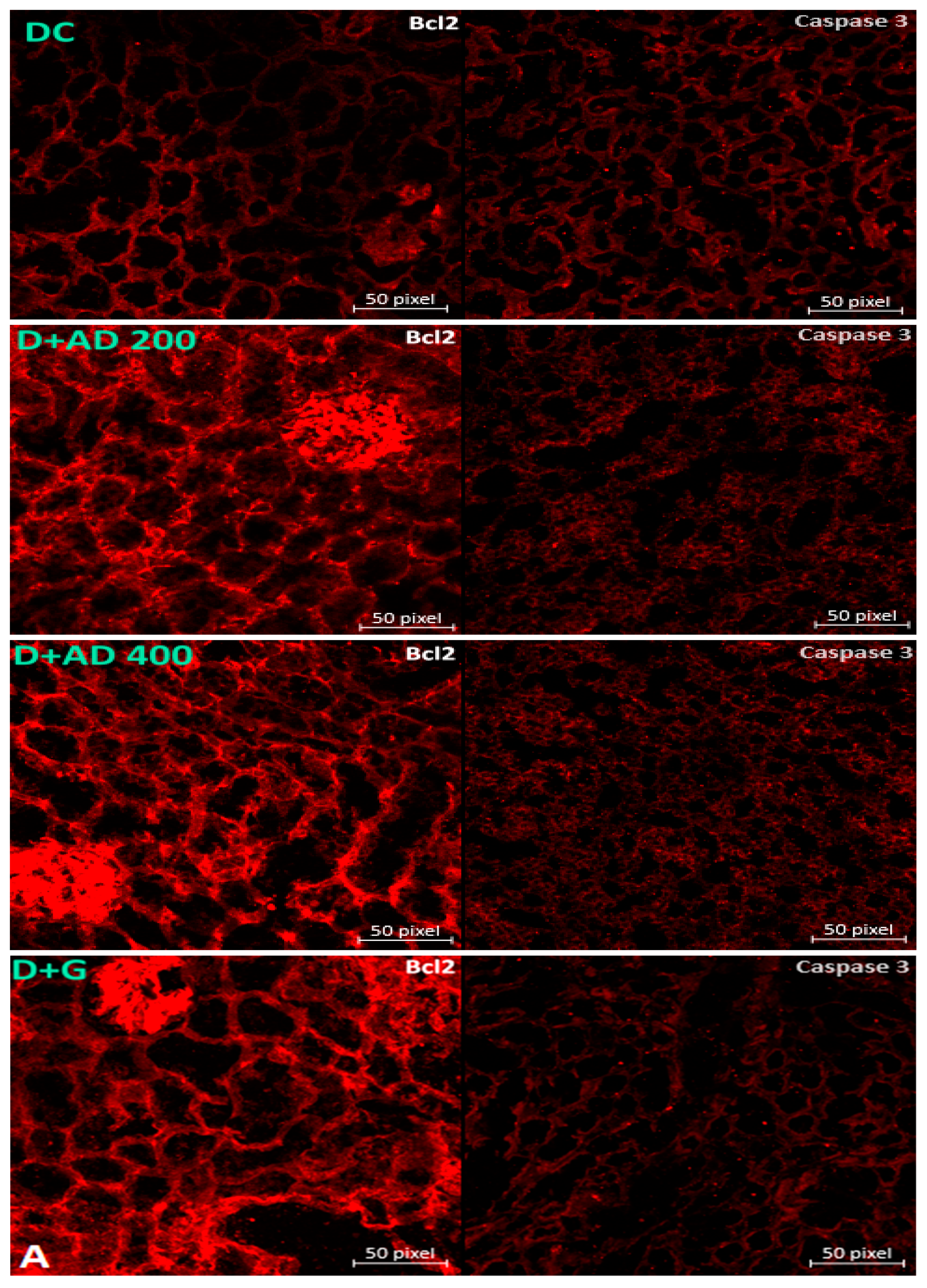 Plants 10 00300 g007b