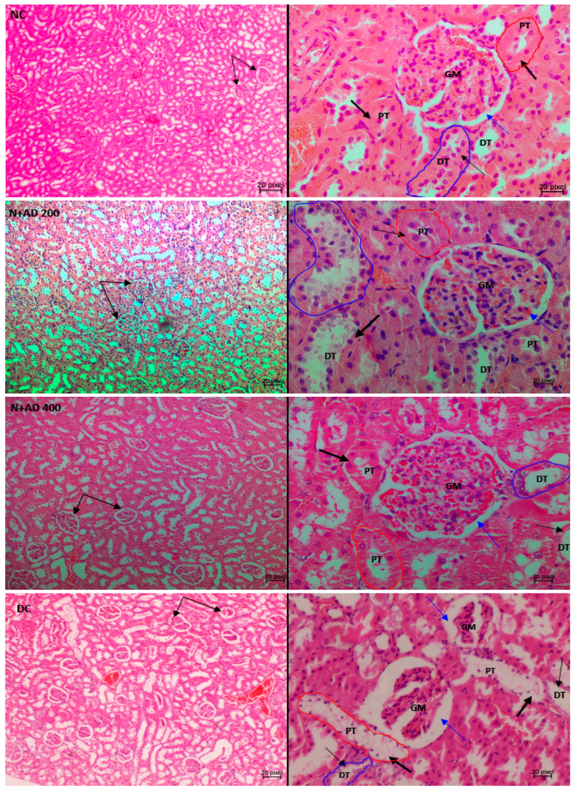 Plants 10 00300 g008a
