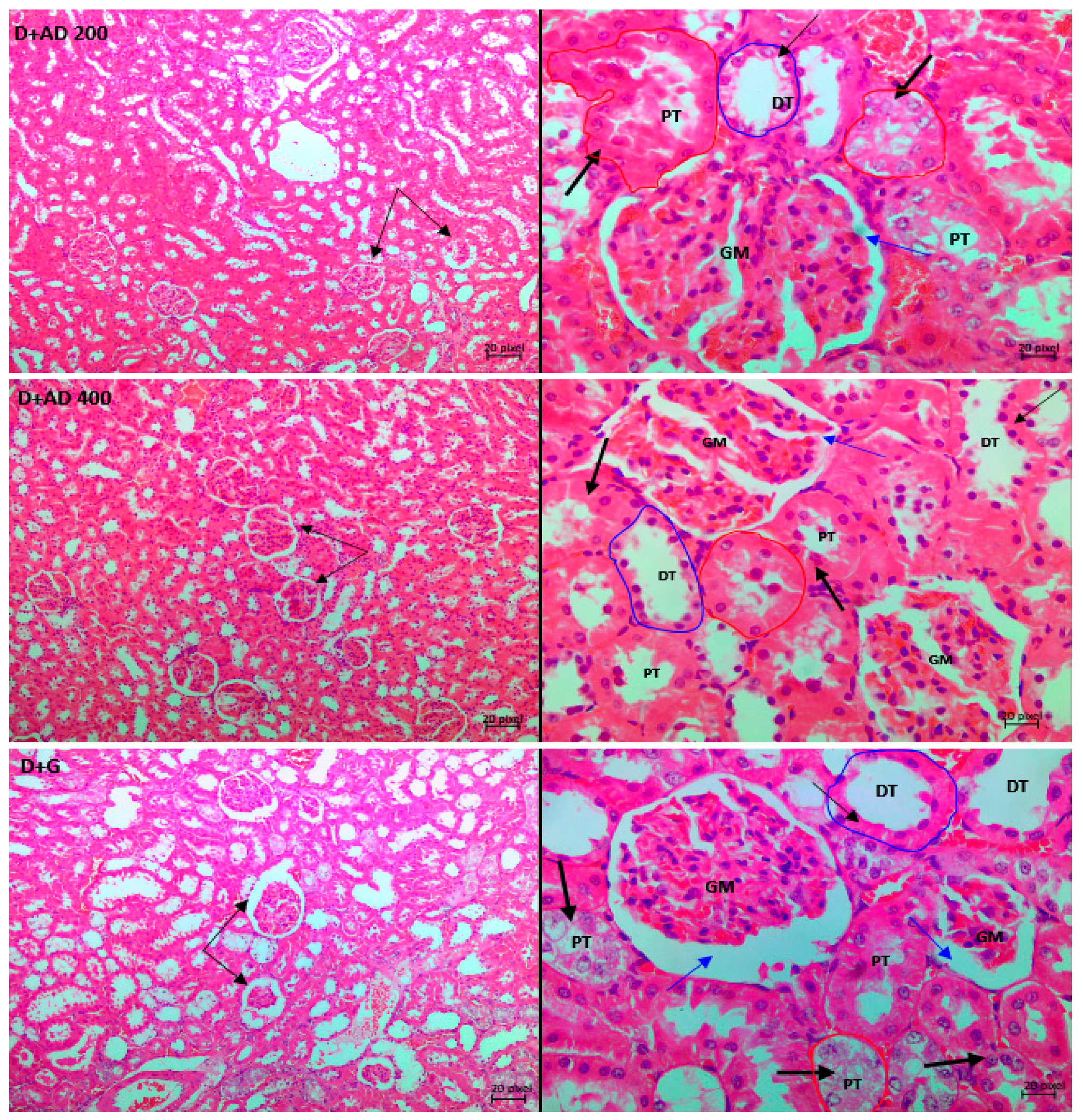 Plants 10 00300 g008b