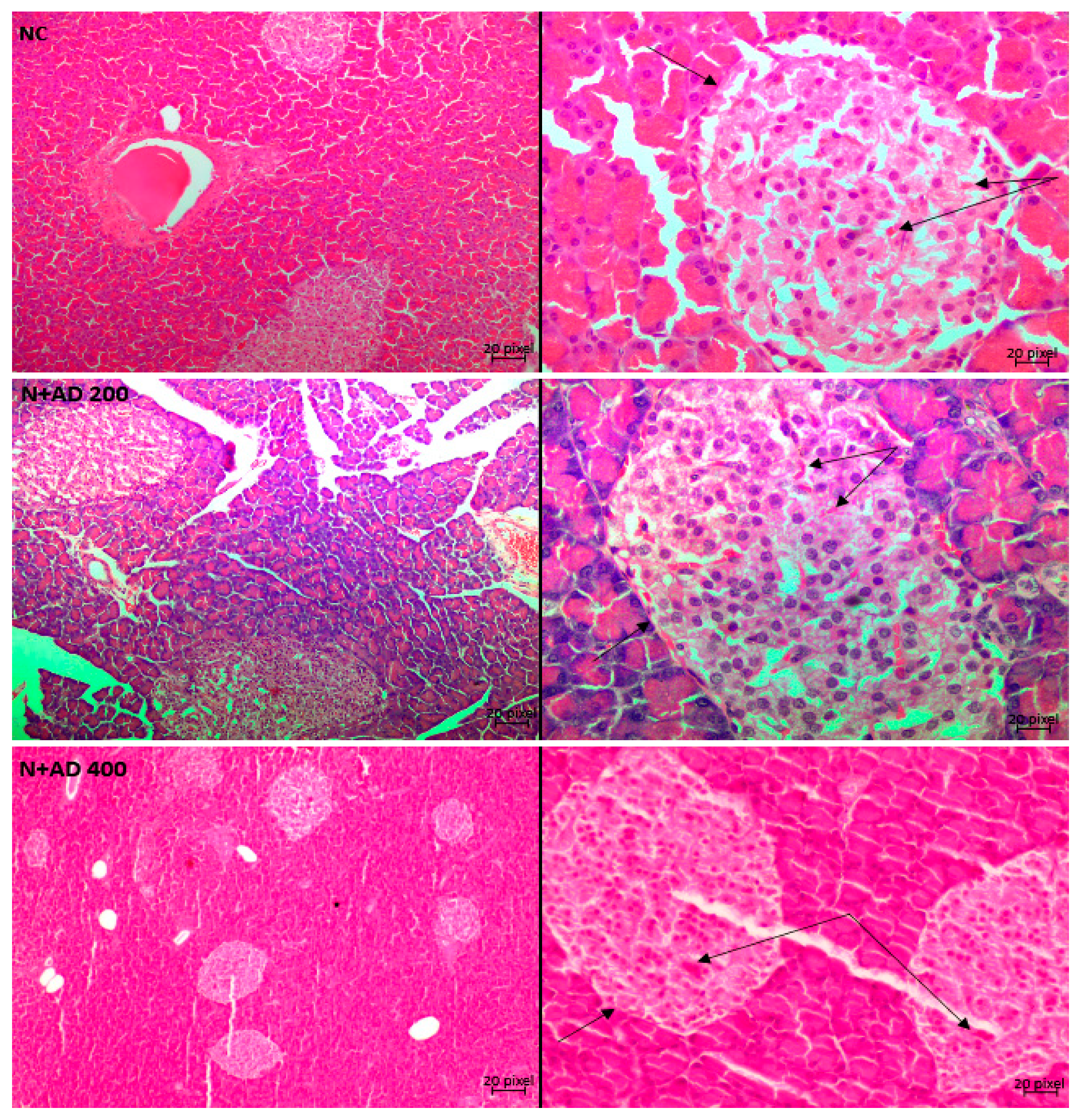 Plants 10 00300 g009a