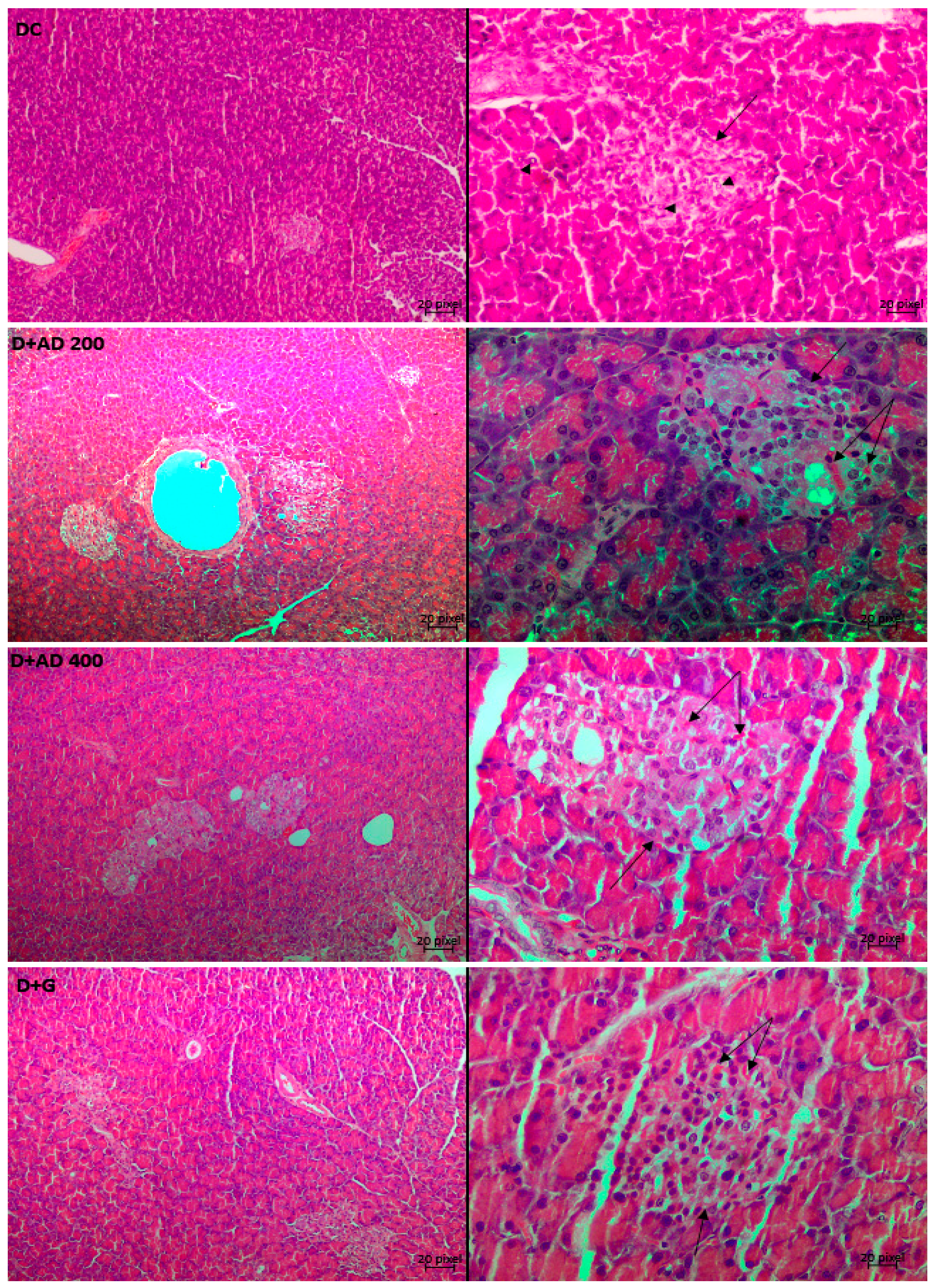 Plants 10 00300 g009b