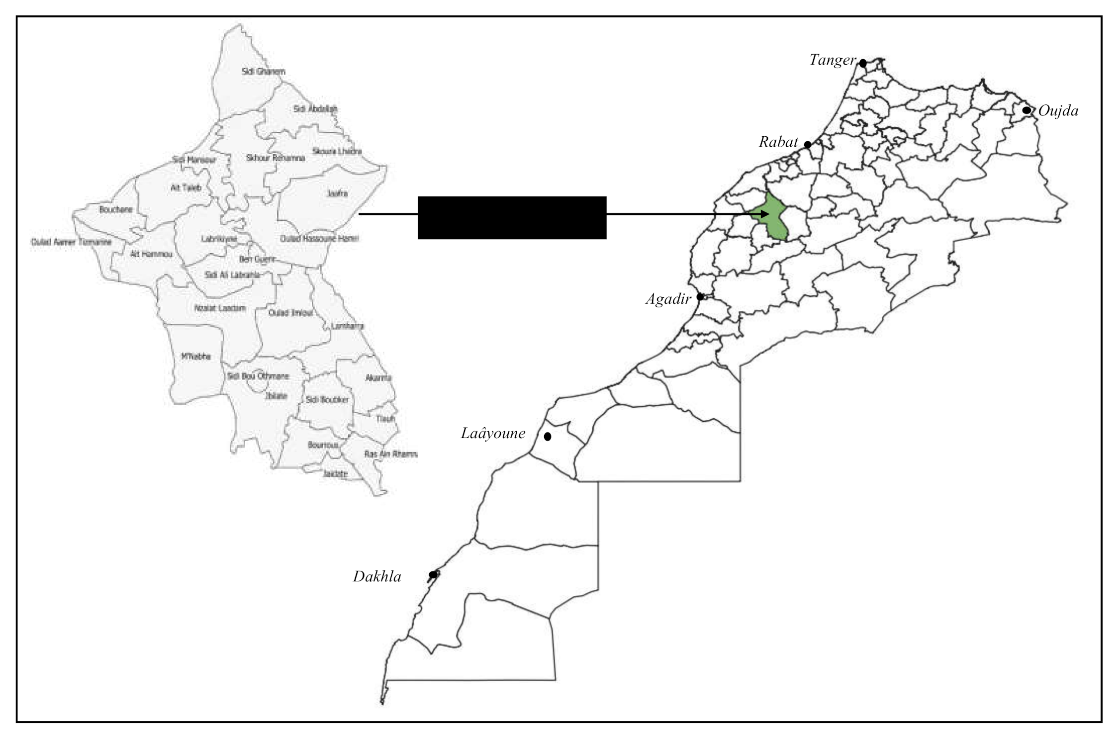 Plants 10 00301 g006