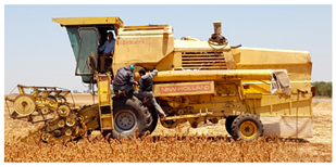 Plants 10 00301 i001