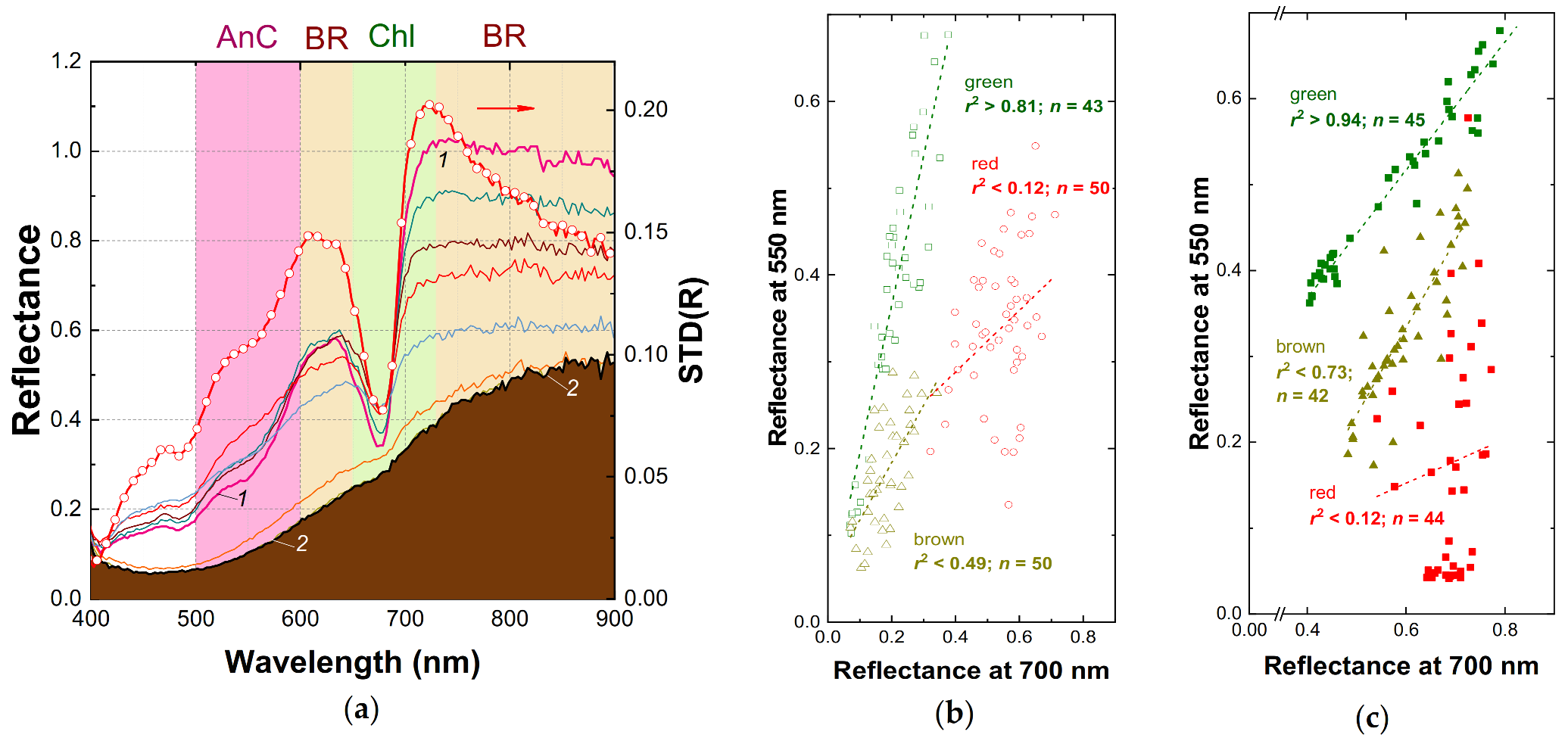 Plants 10 00310 g003