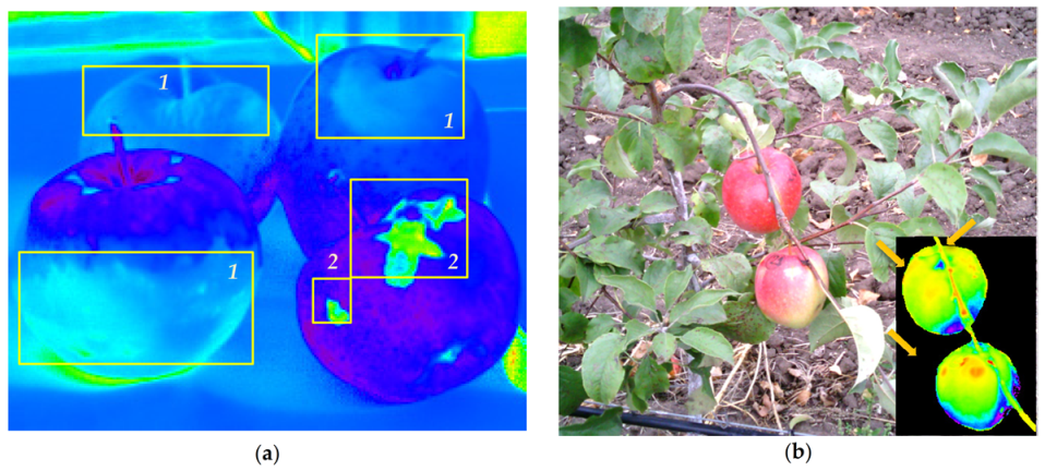 Plants 10 00310 g005