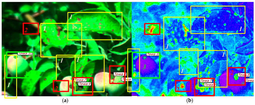 Plants 10 00310 g006