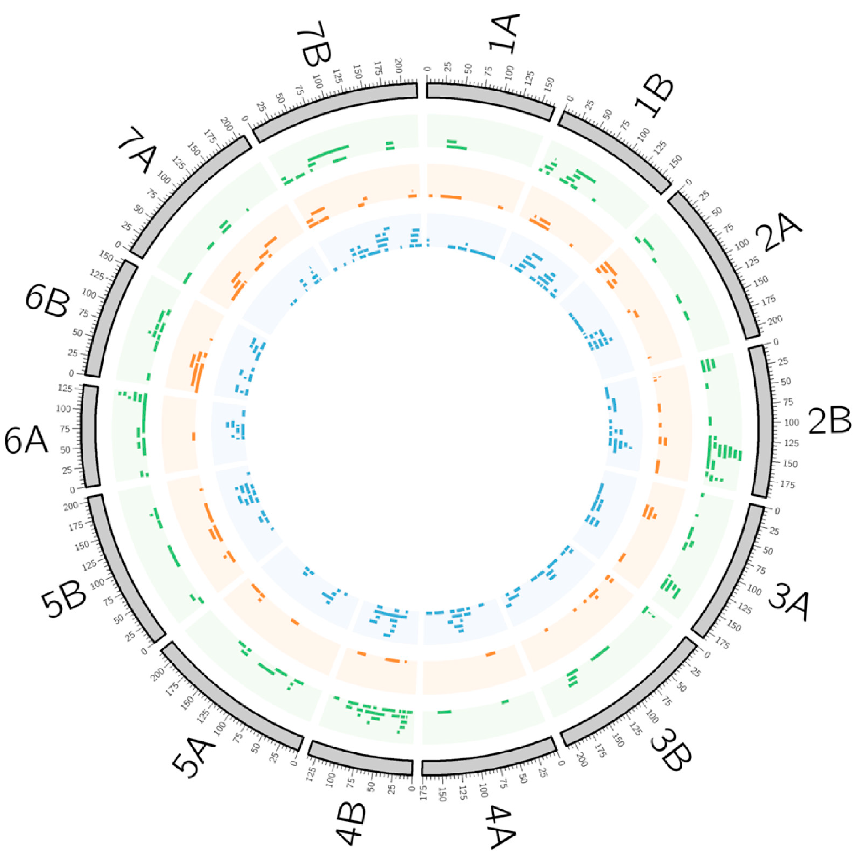 Plants 10 00315 g001