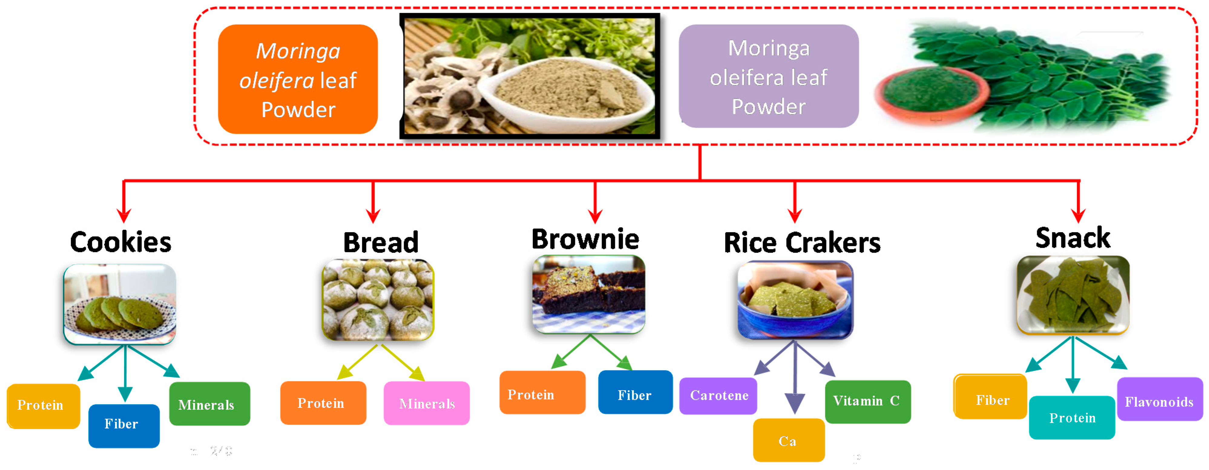 Plants 10 00318 g002