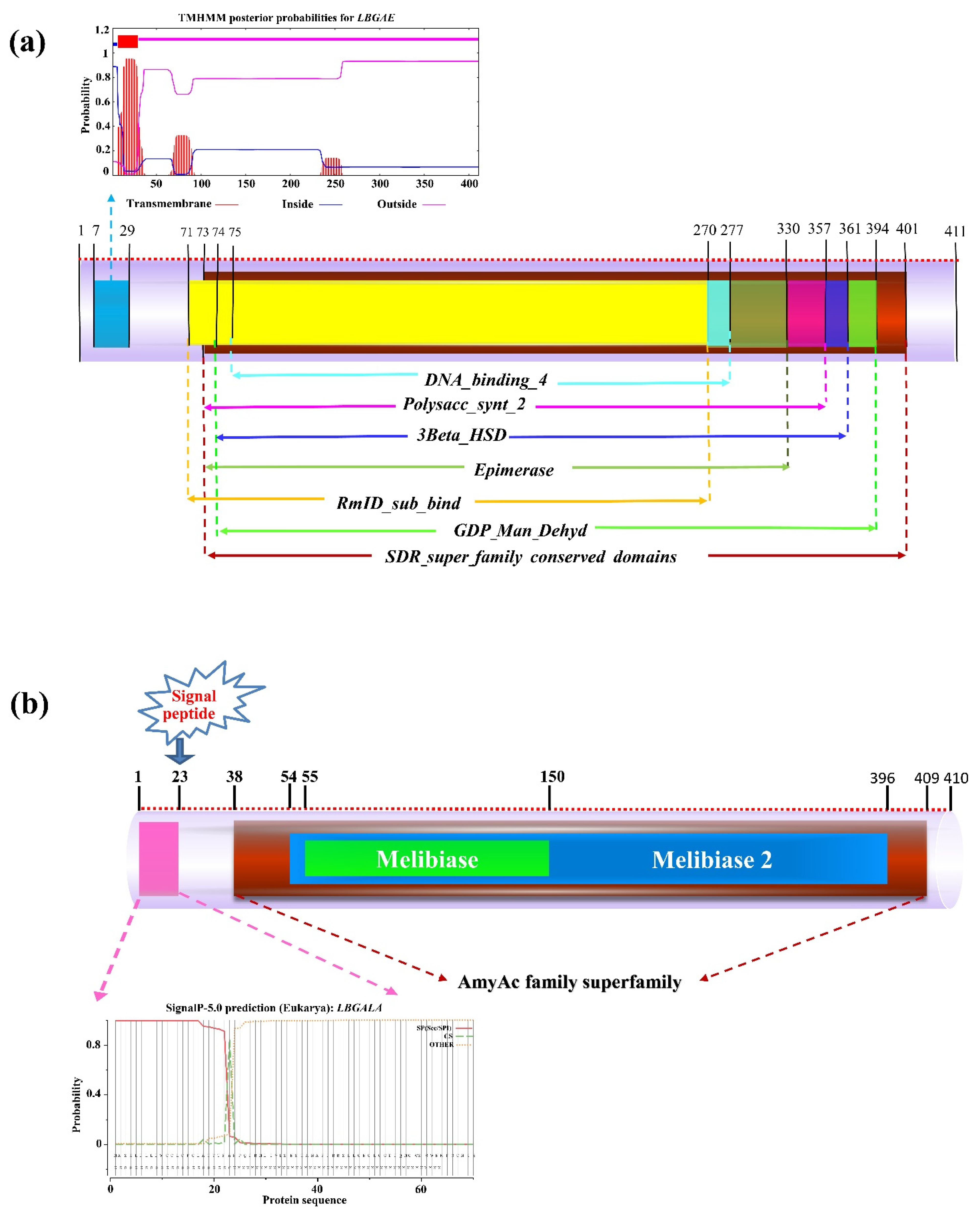 Plants 10 00321 g001