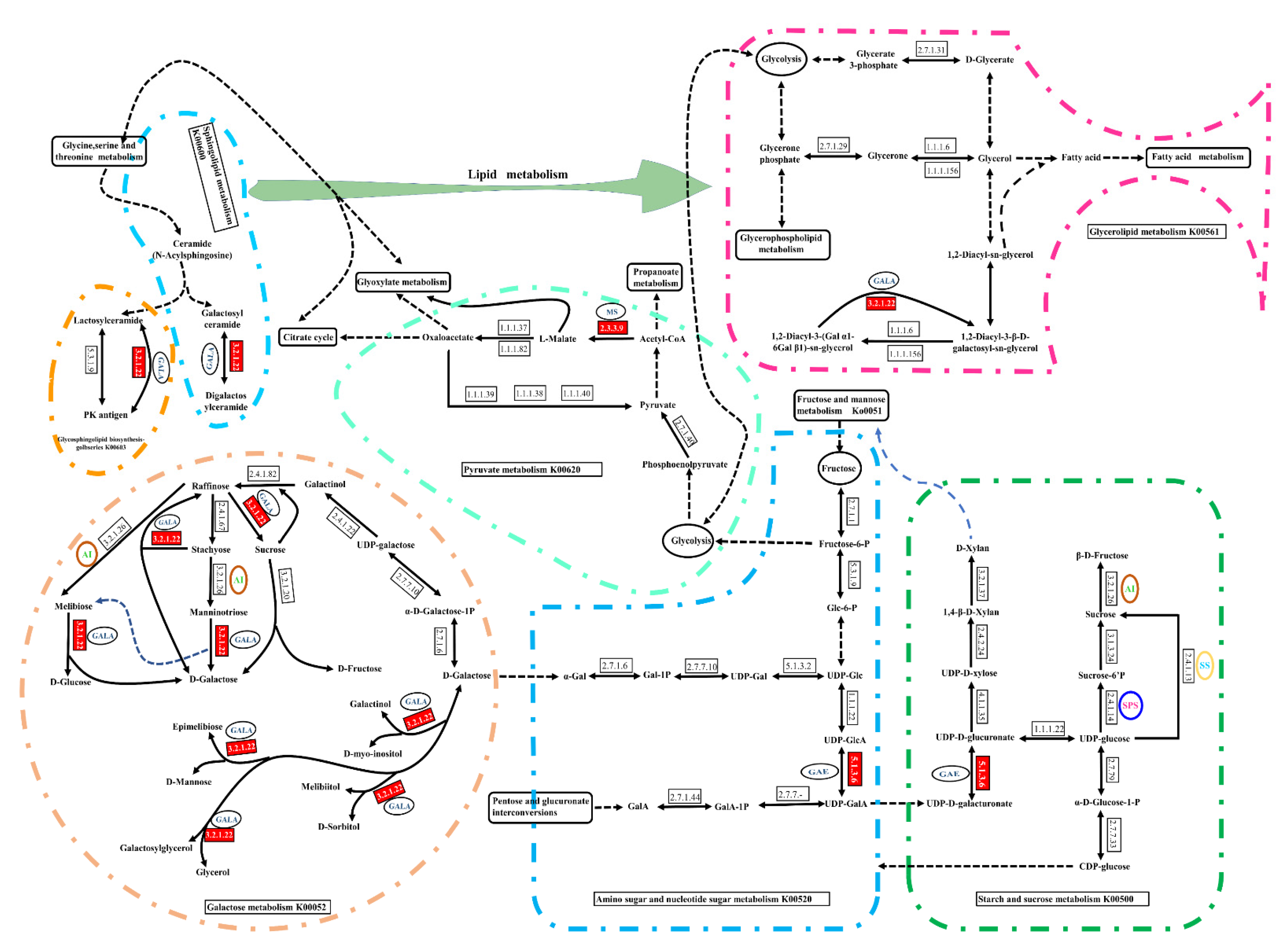 Plants 10 00321 g004
