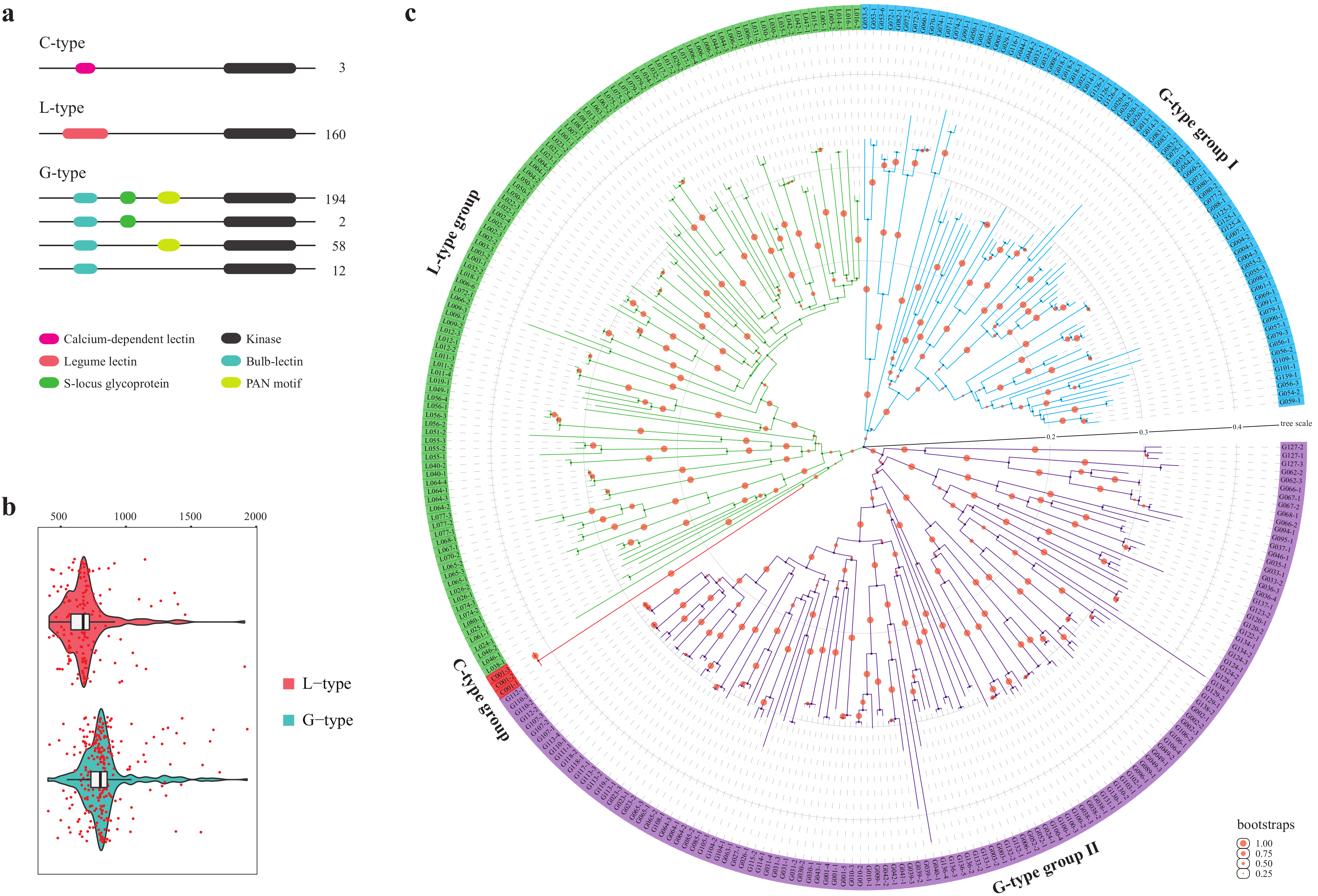 Plants 10 00322 g001