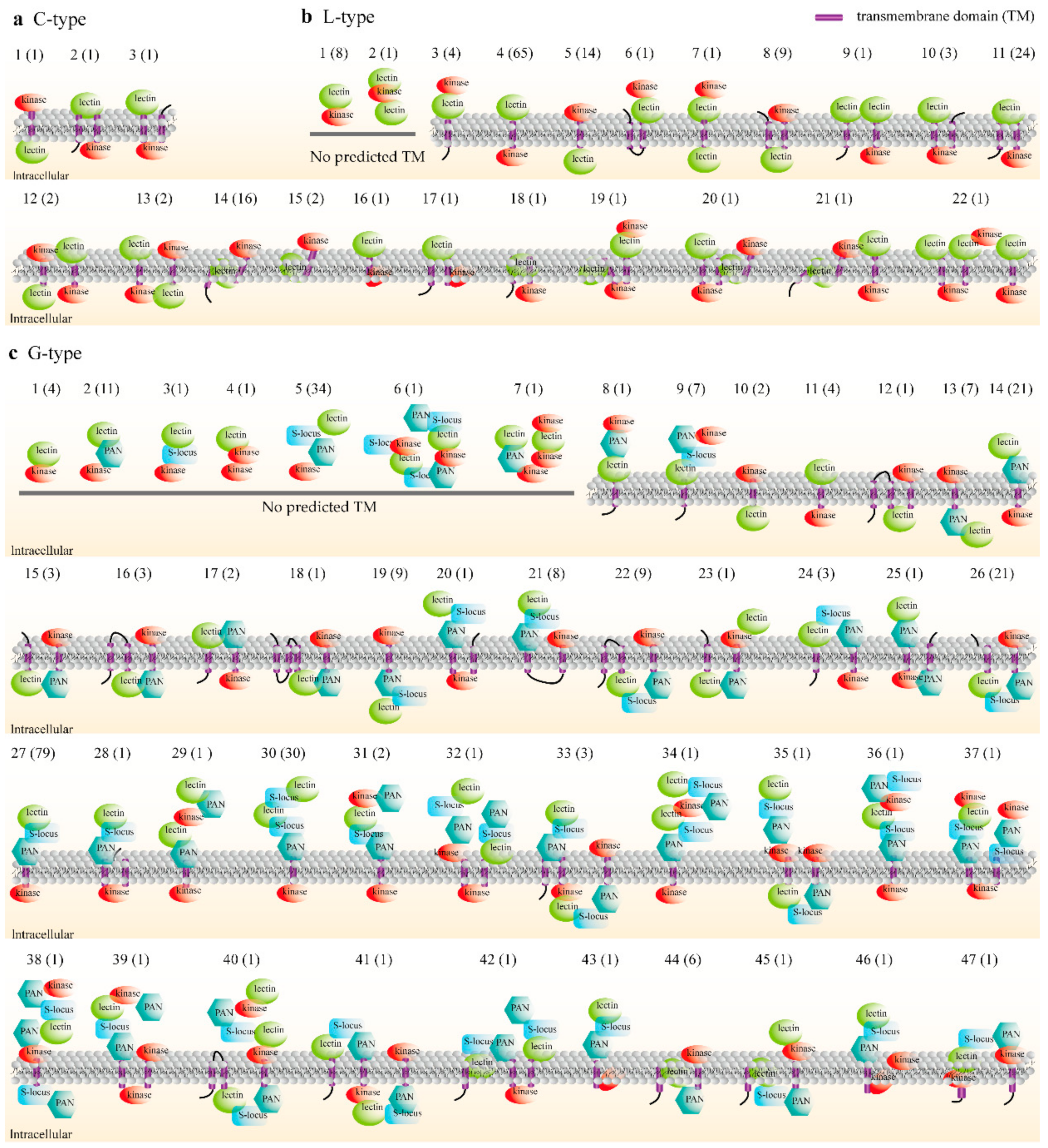 Plants 10 00322 g002