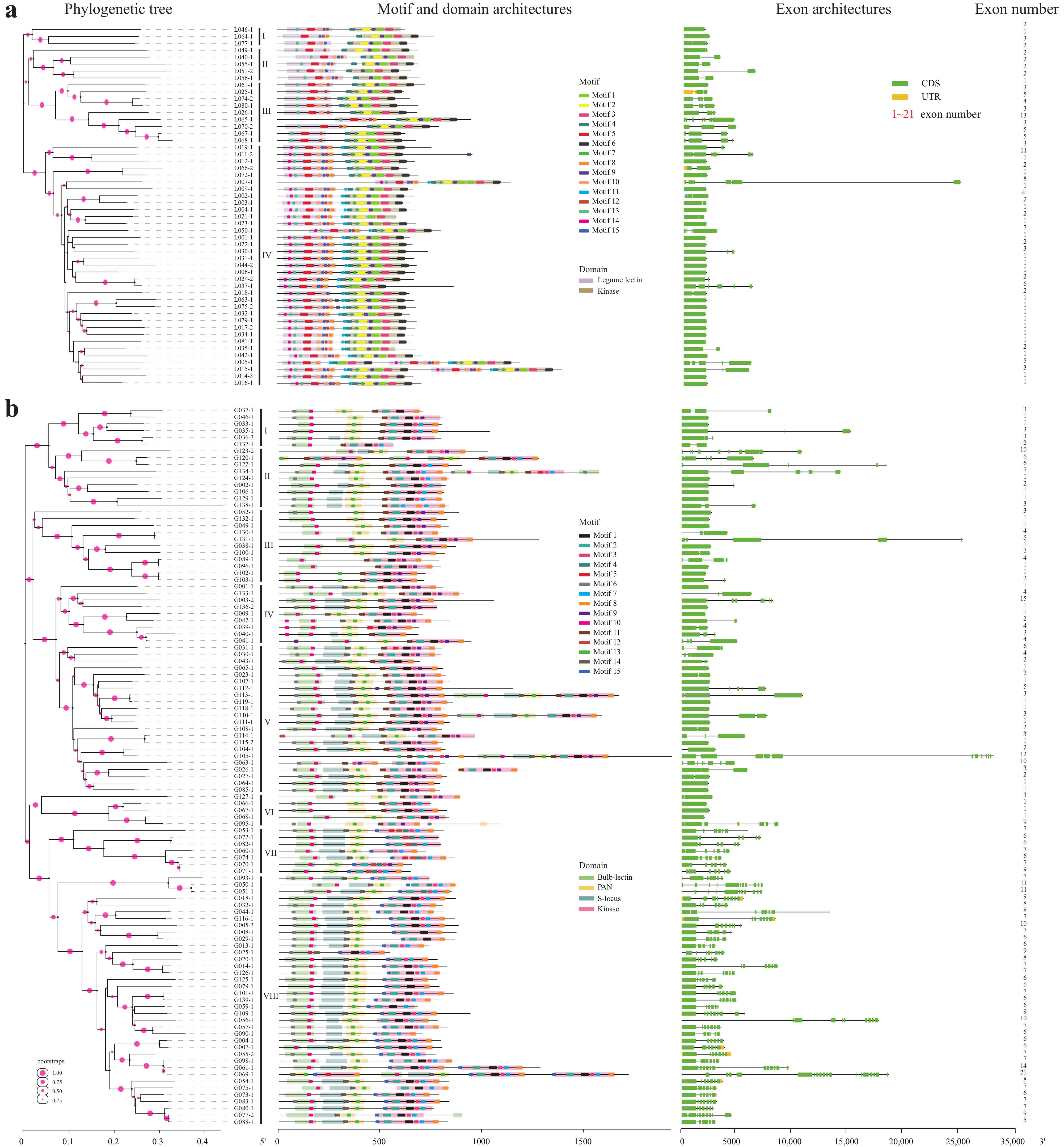 Plants 10 00322 g003