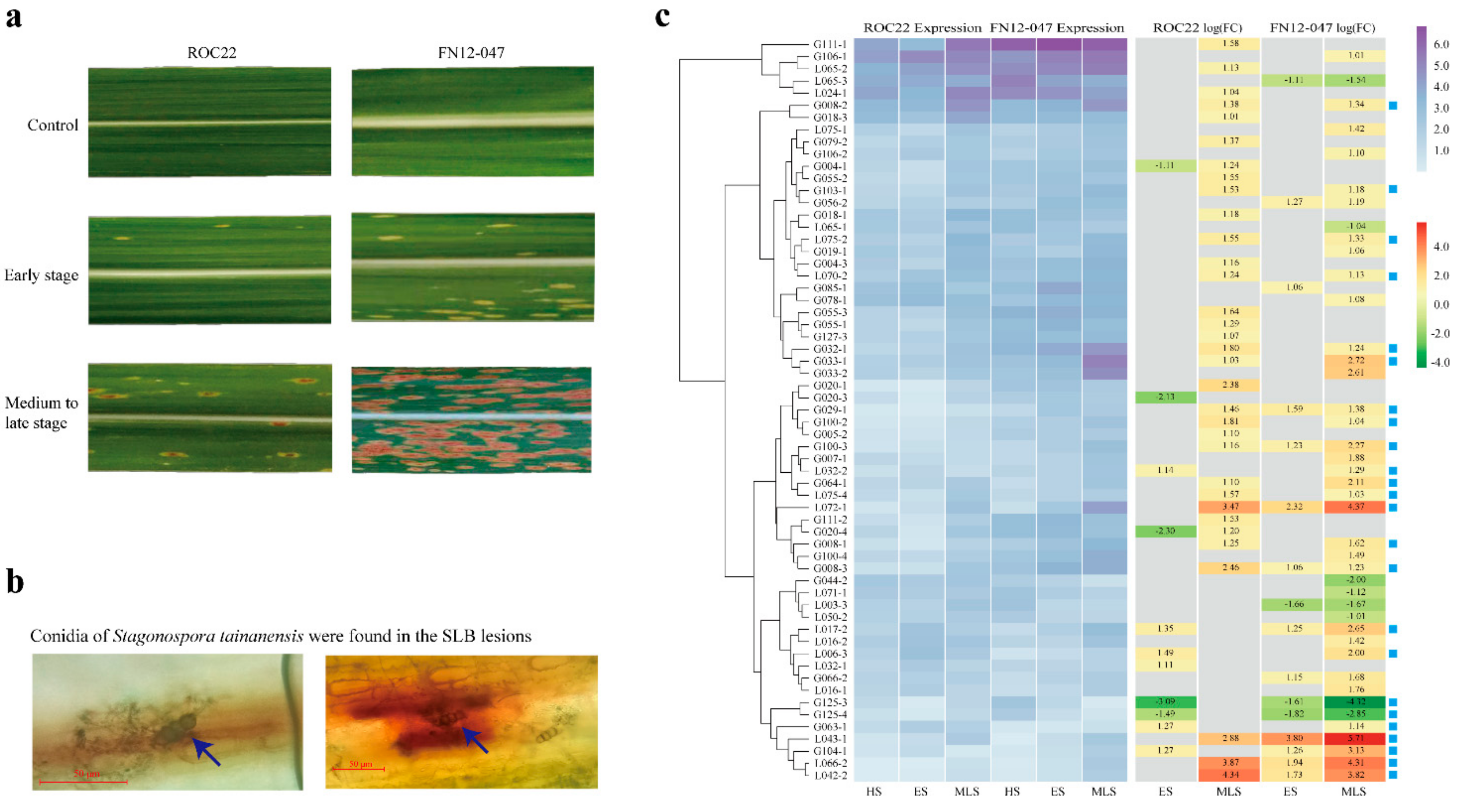 Plants 10 00322 g006