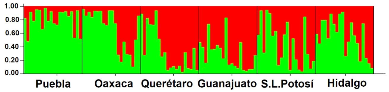Plants 10 00325 g003