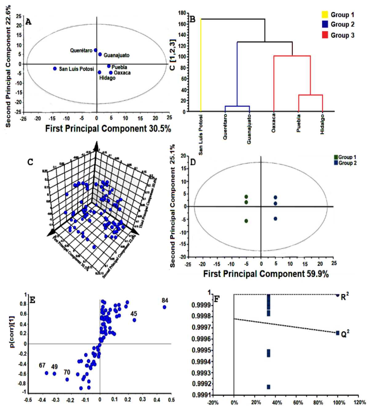 Plants 10 00325 g008