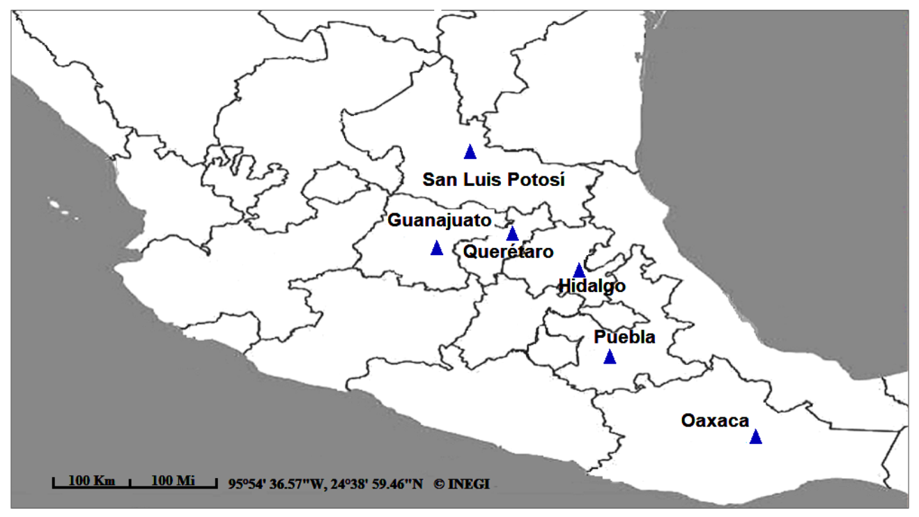 Plants 10 00325 g011