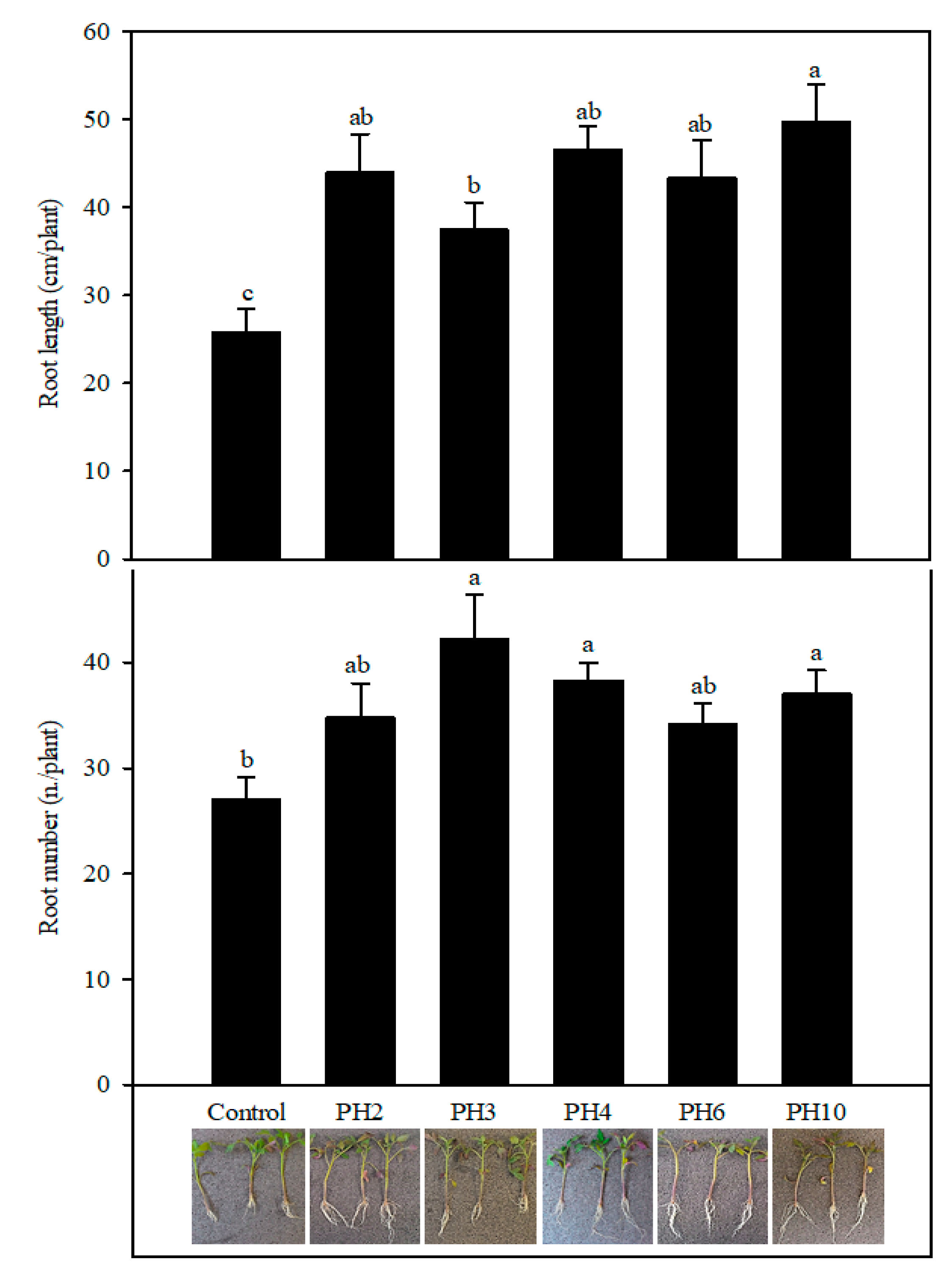 Plants 10 00326 g001 Plants 10 00326 g001