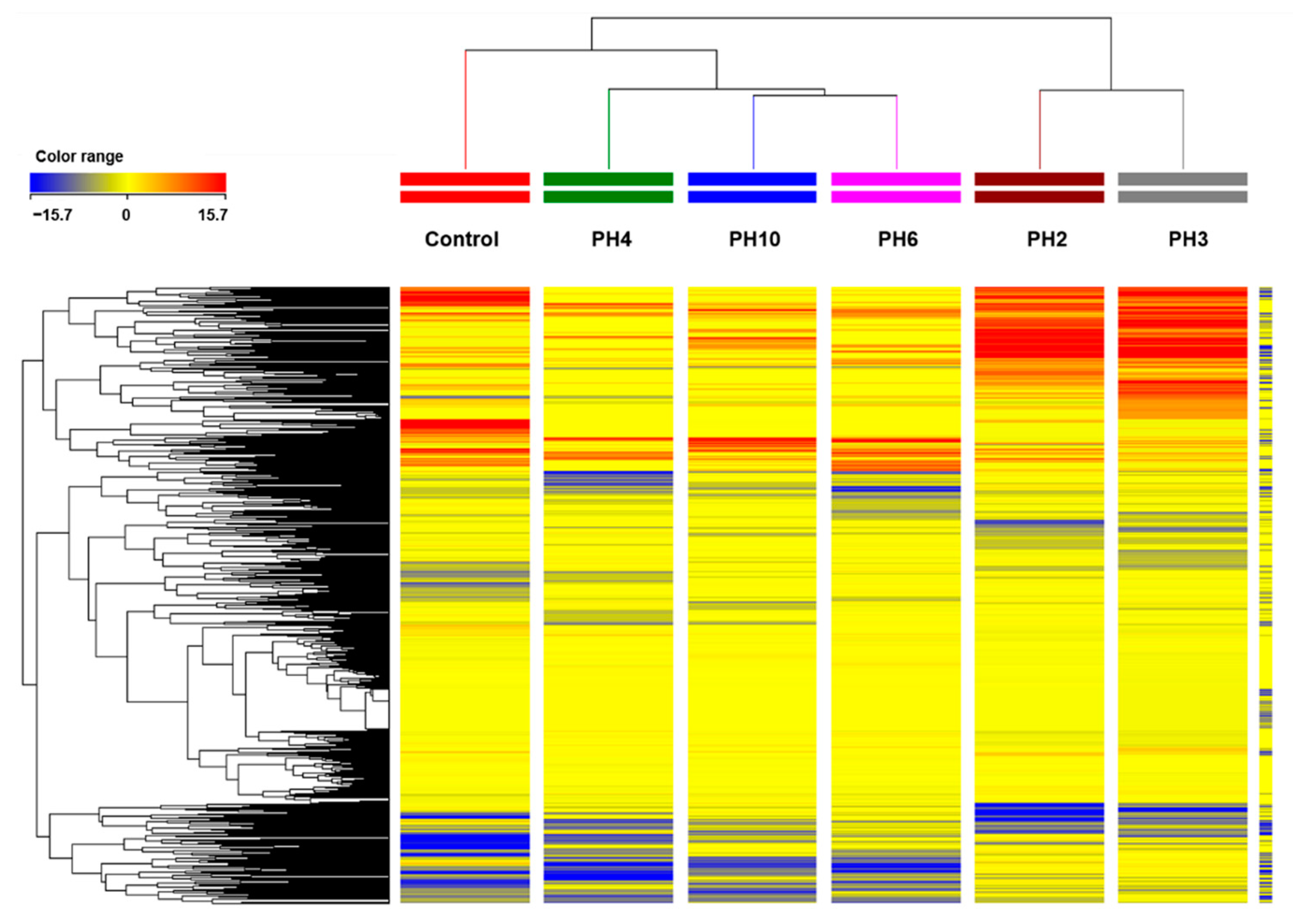 Plants 10 00326 g002 Plants 10 00326 g002