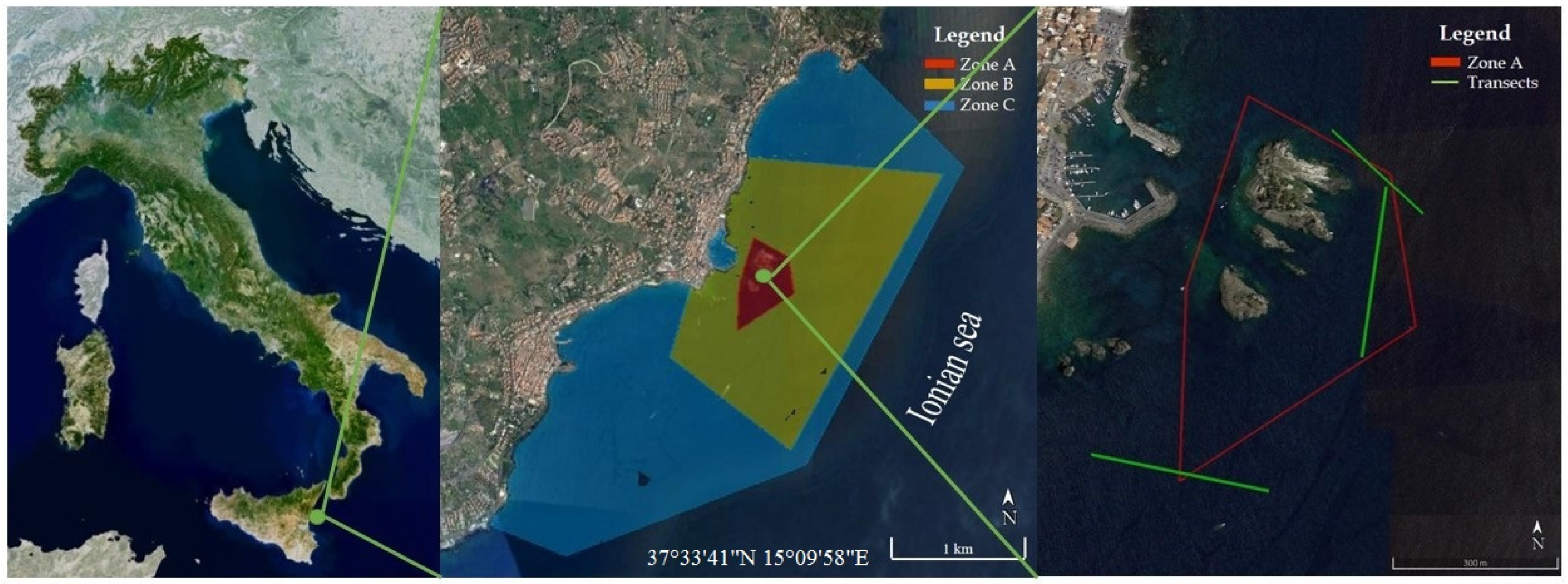 Plants 10 00329 g001